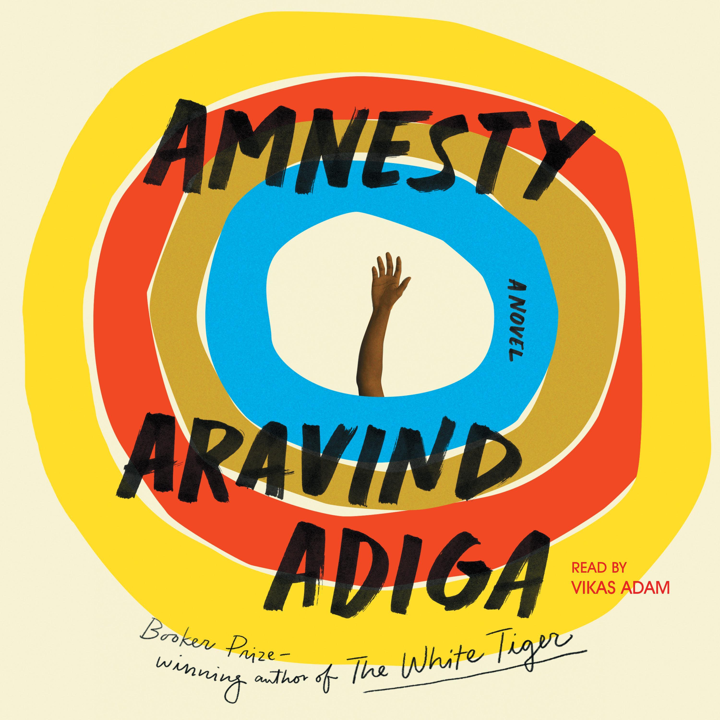 Amnesty