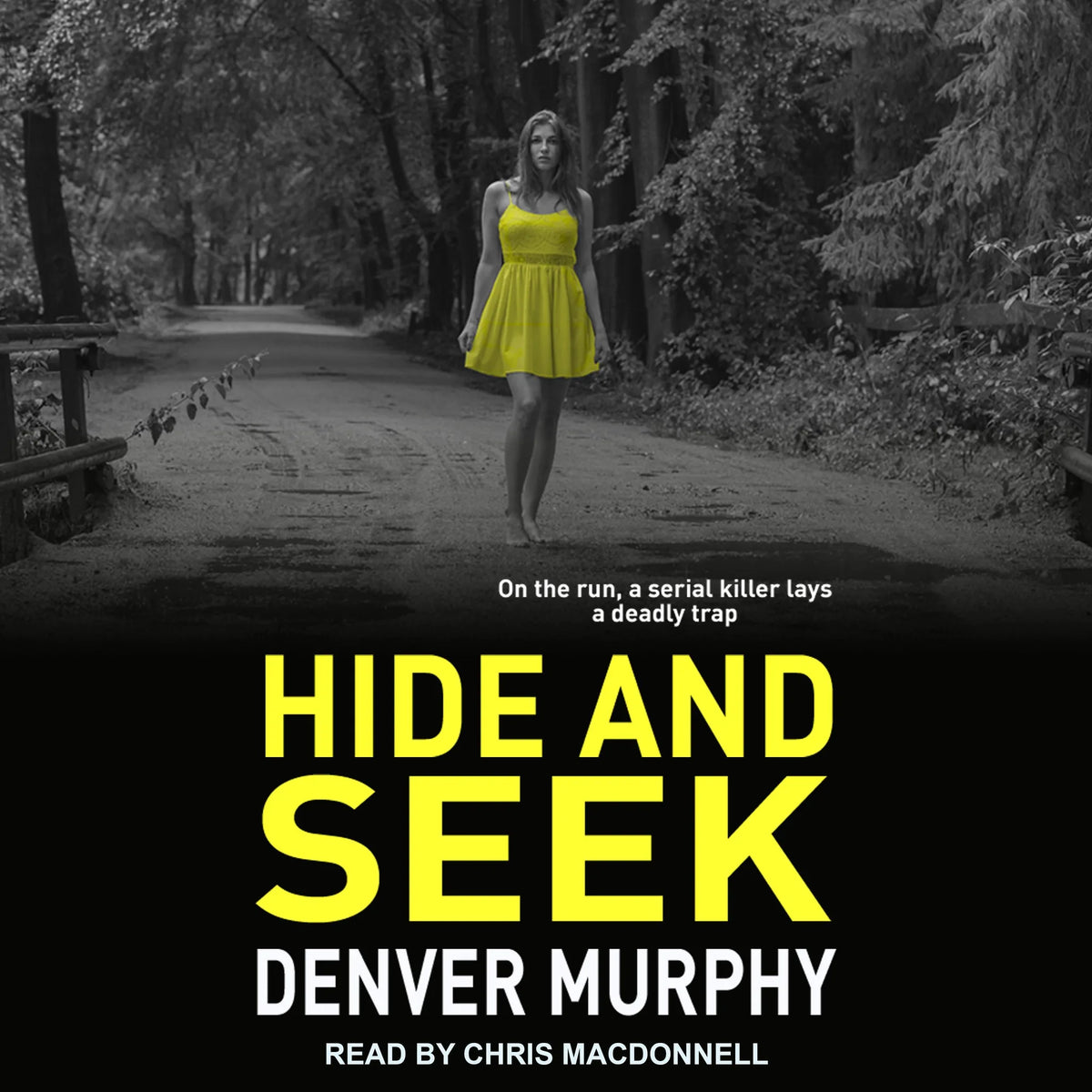Hide and Seek