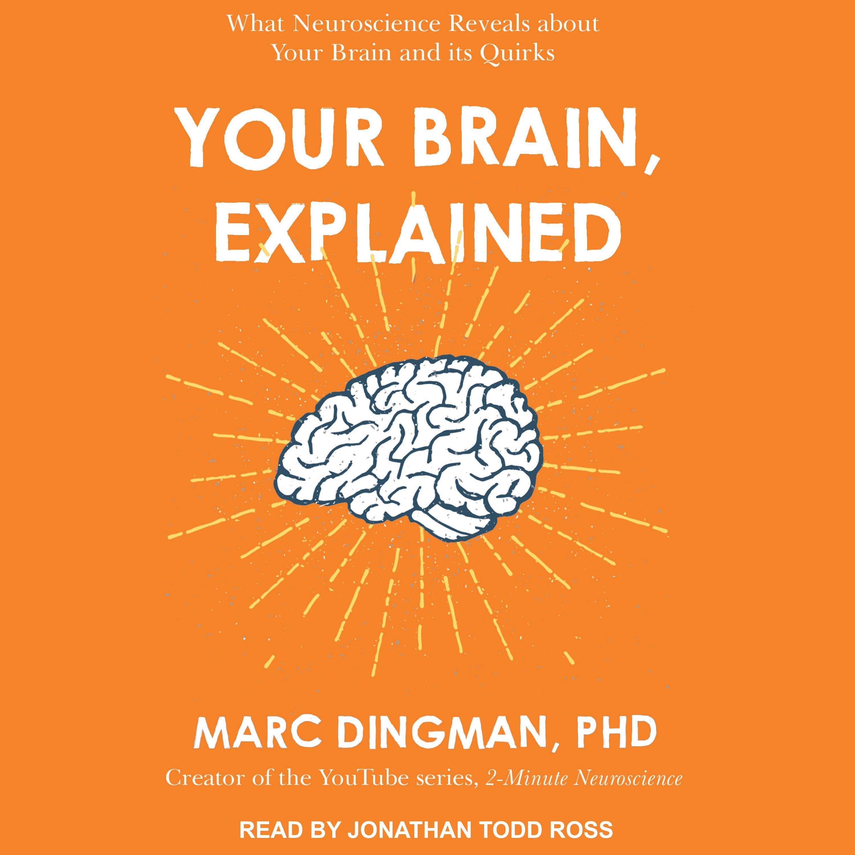 Your Brain, Explained