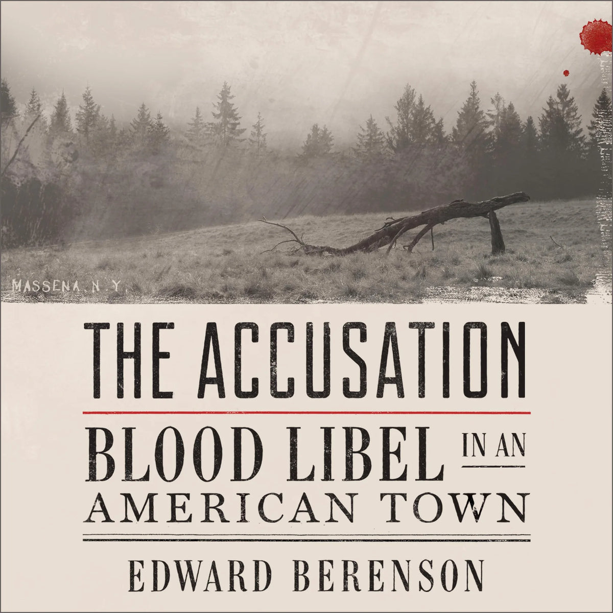 The Accusation