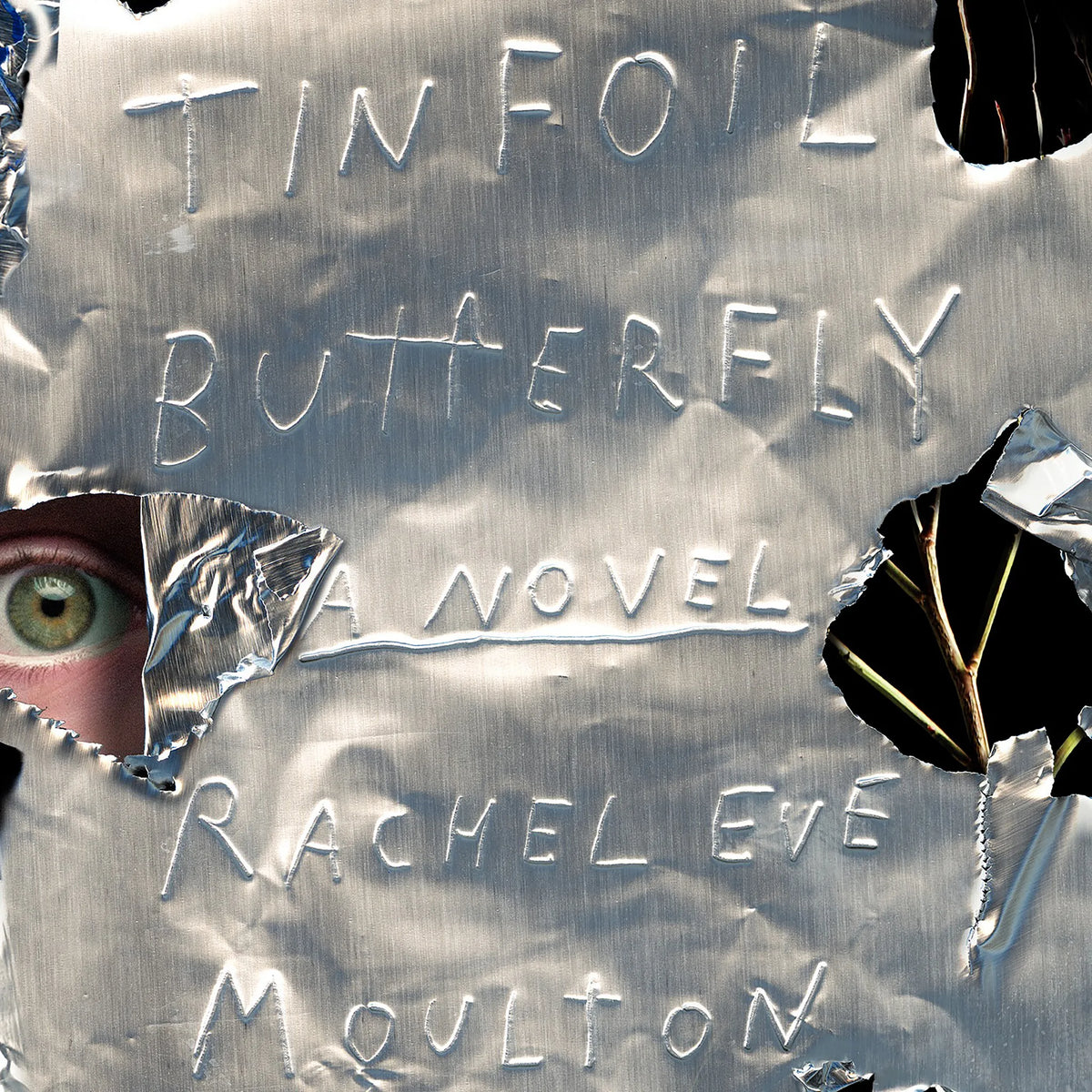 Tinfoil Butterfly