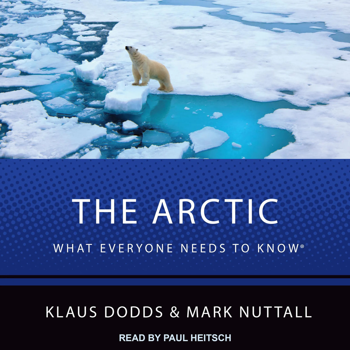 The Arctic