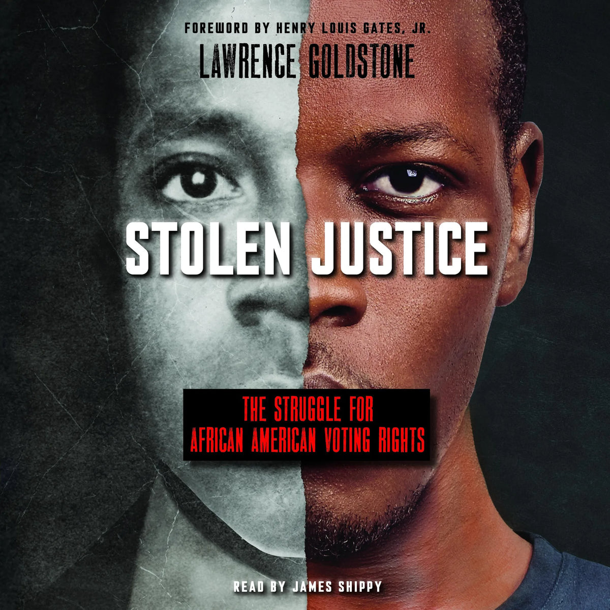 Stolen Justice: The Struggle for African American Voting Rights (Scholastic Focus)