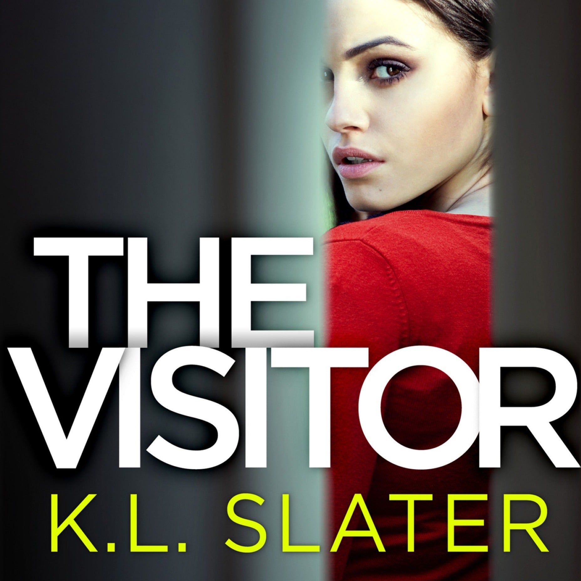 The Visitor