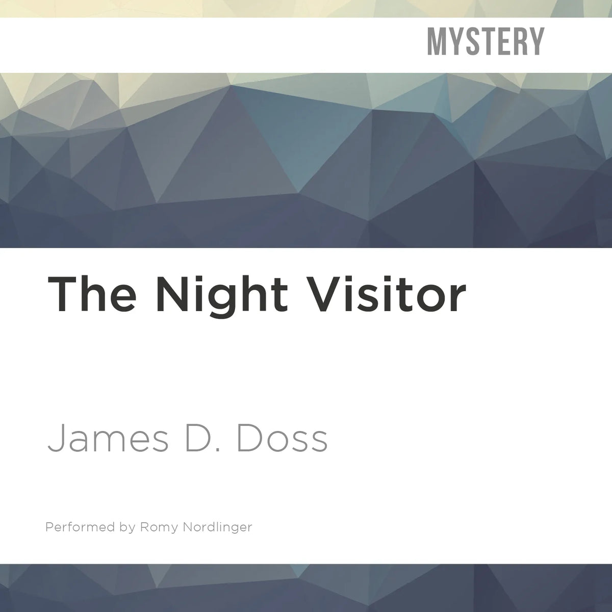 The Night Visitor