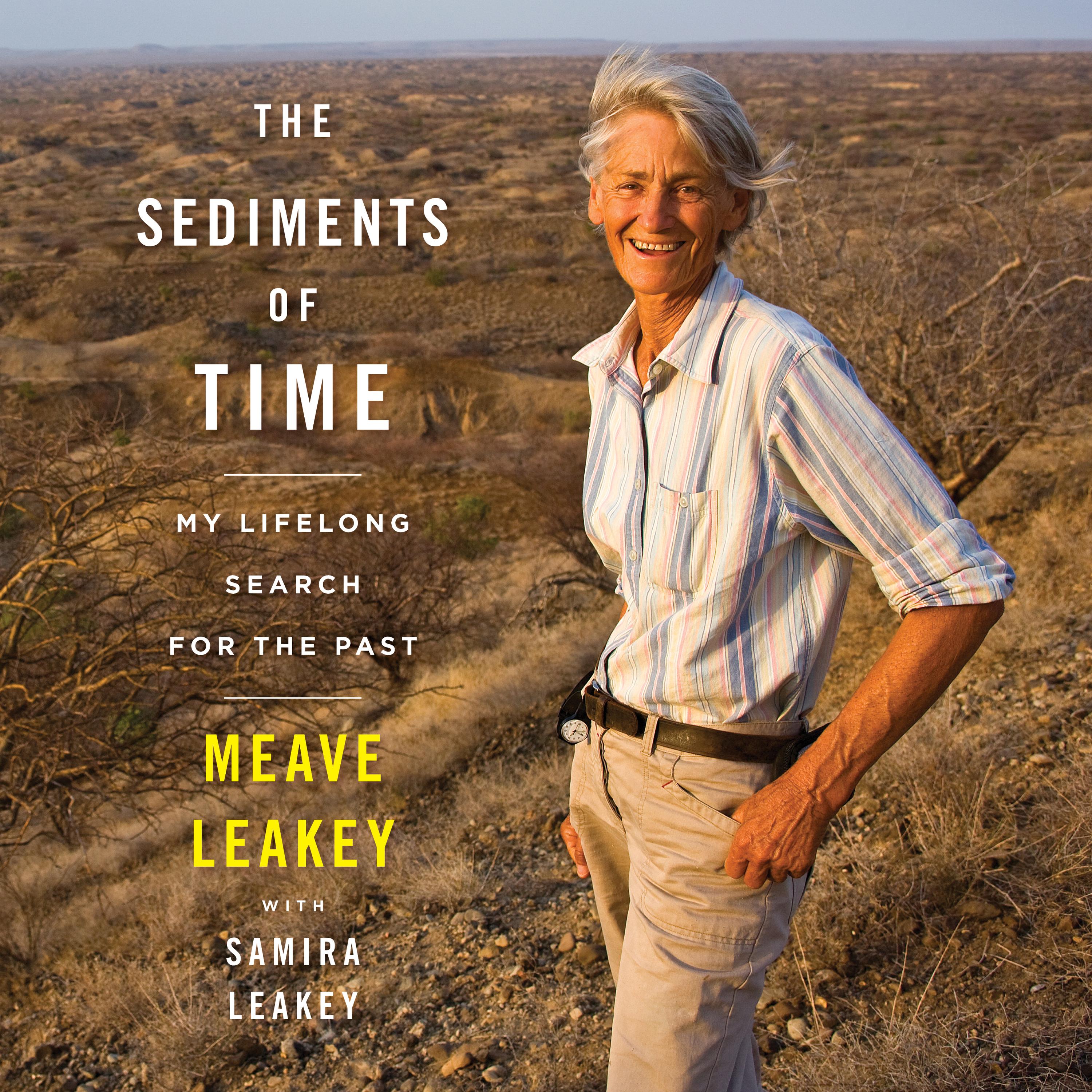 The Sediments Of Time