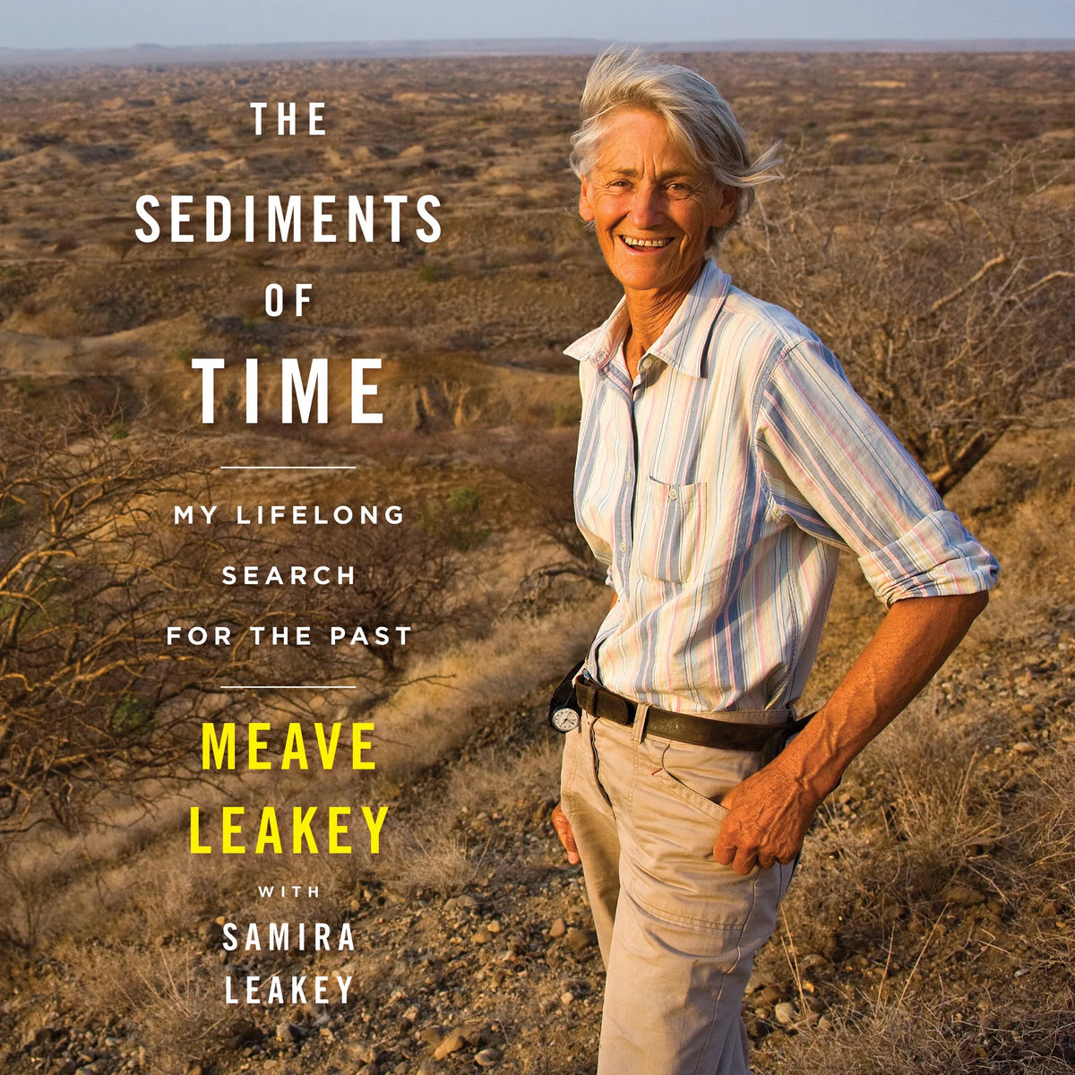 The Sediments Of Time