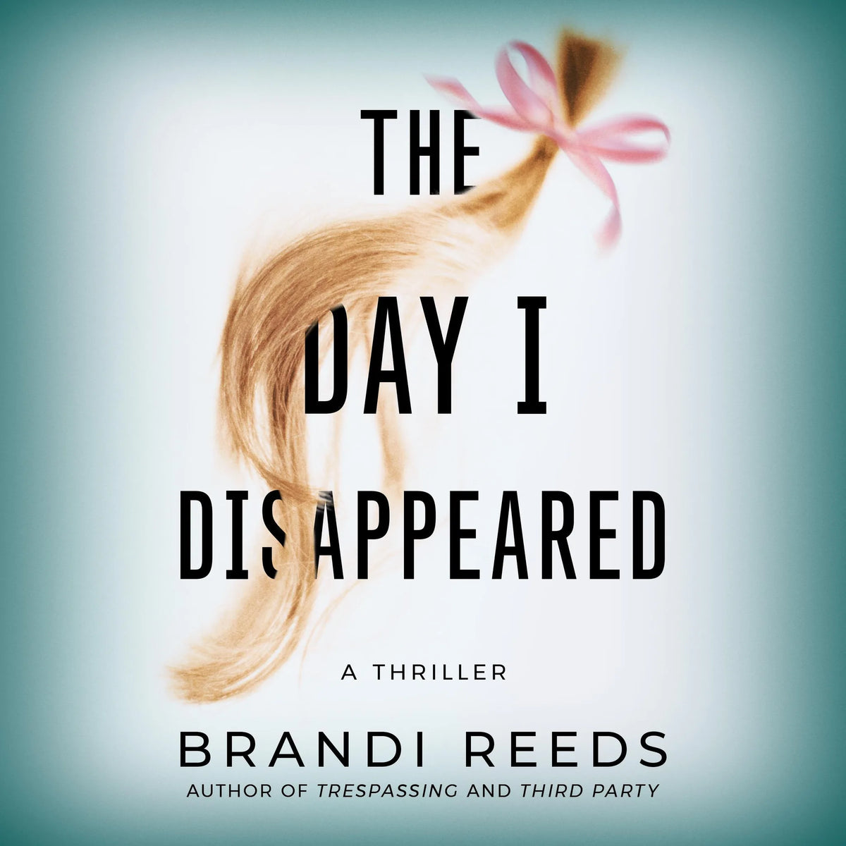 The Day I Disappeared