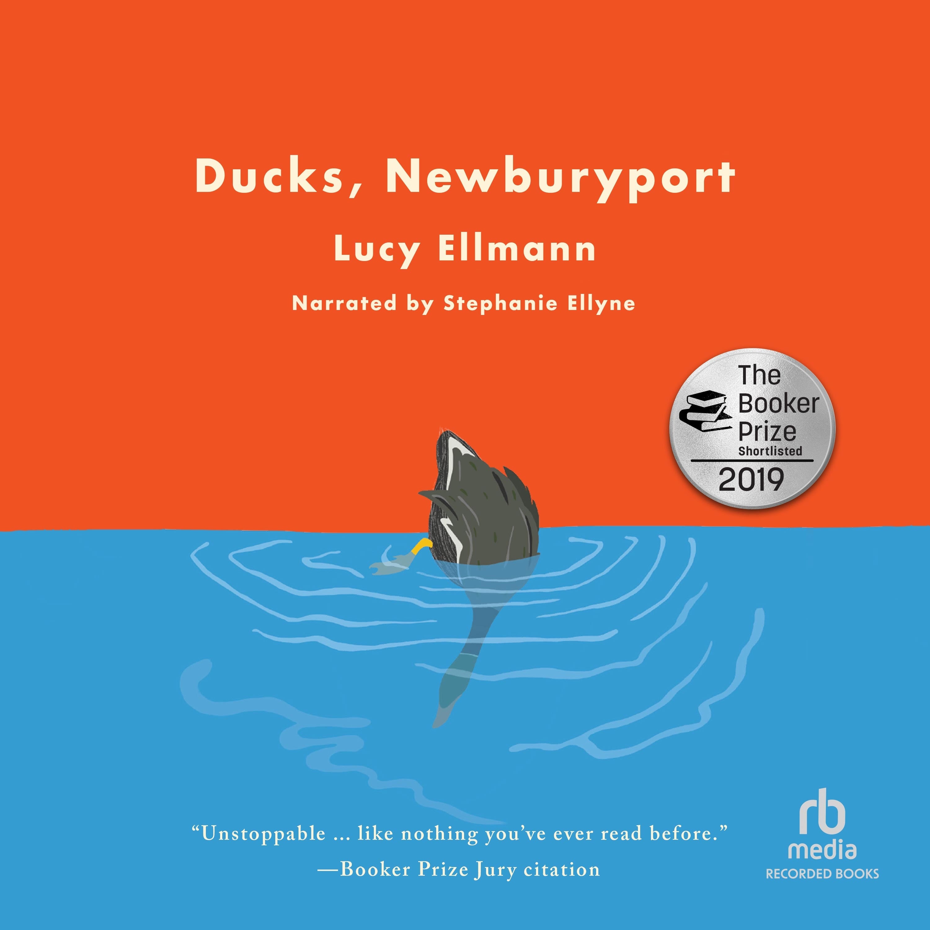 Ducks, Newburyport
