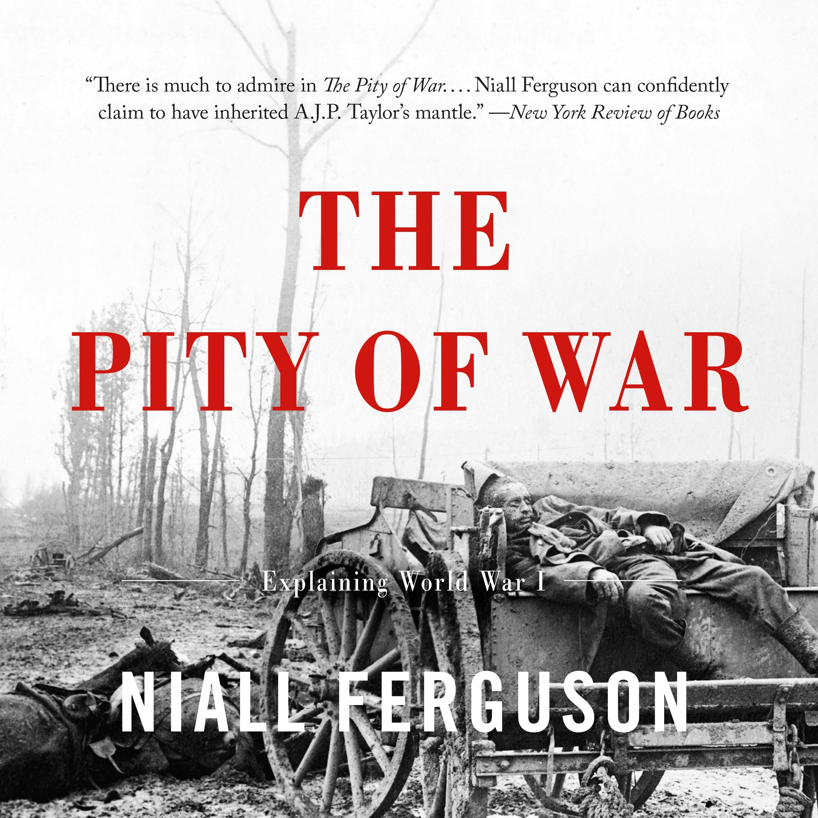 The Pity of War