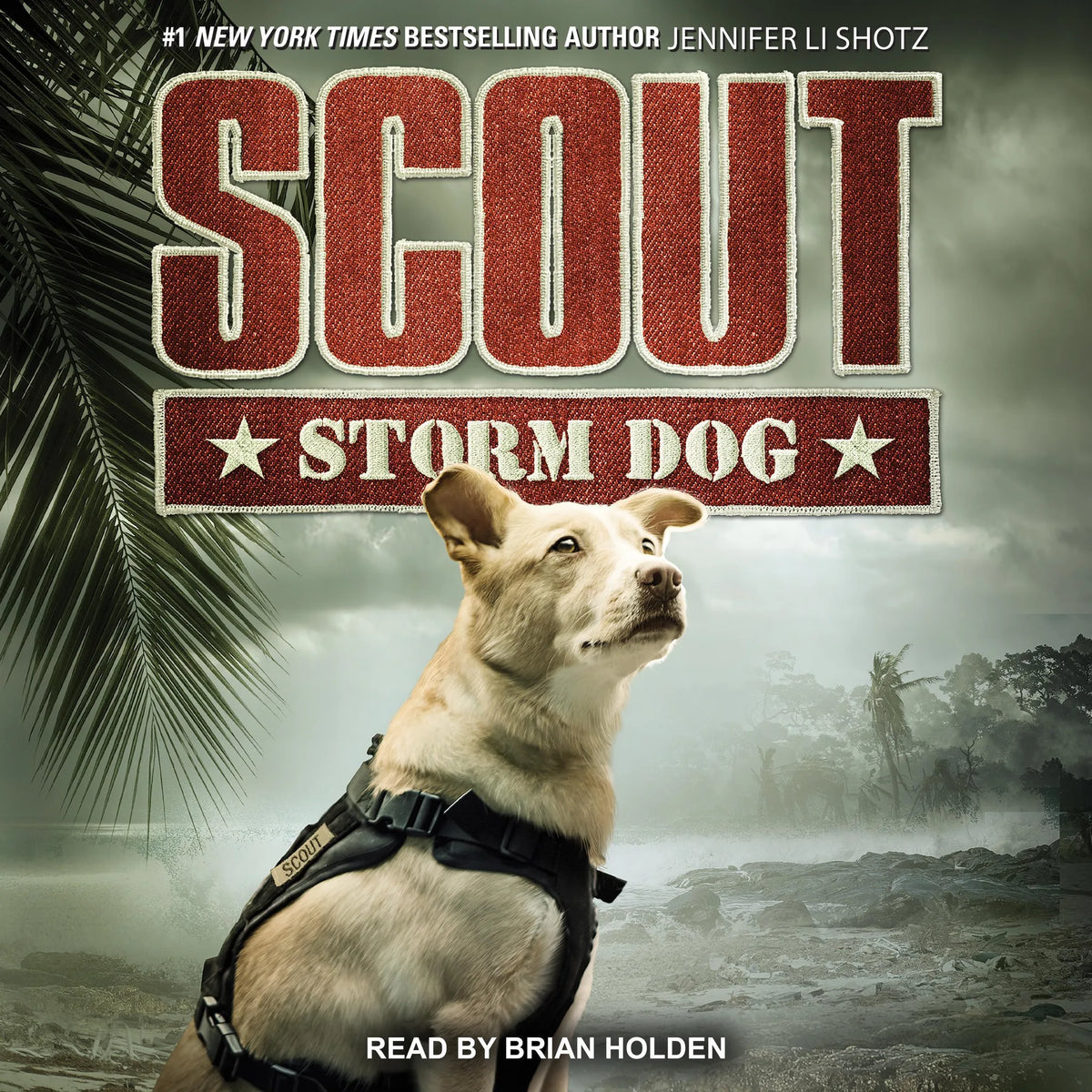 Scout