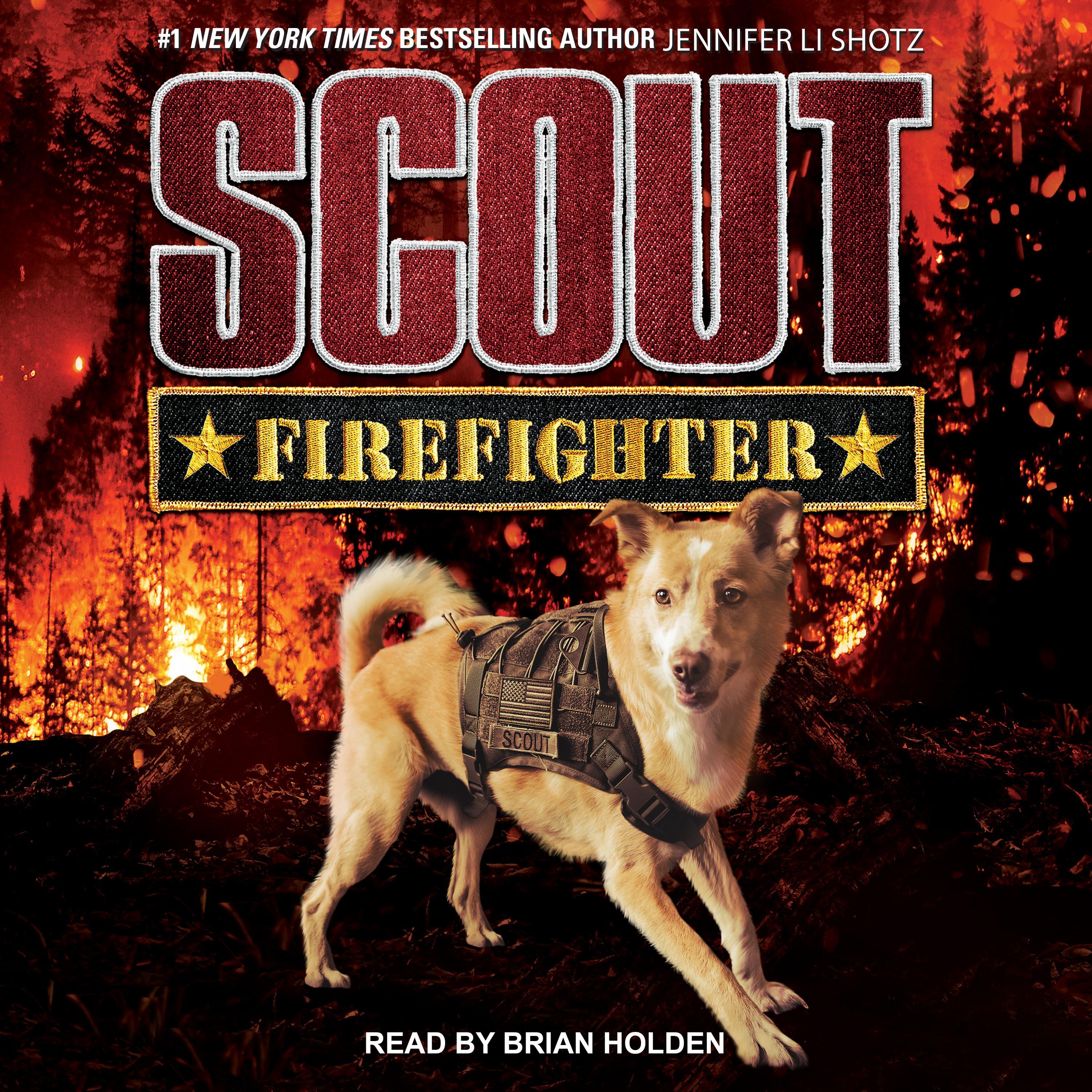 Scout