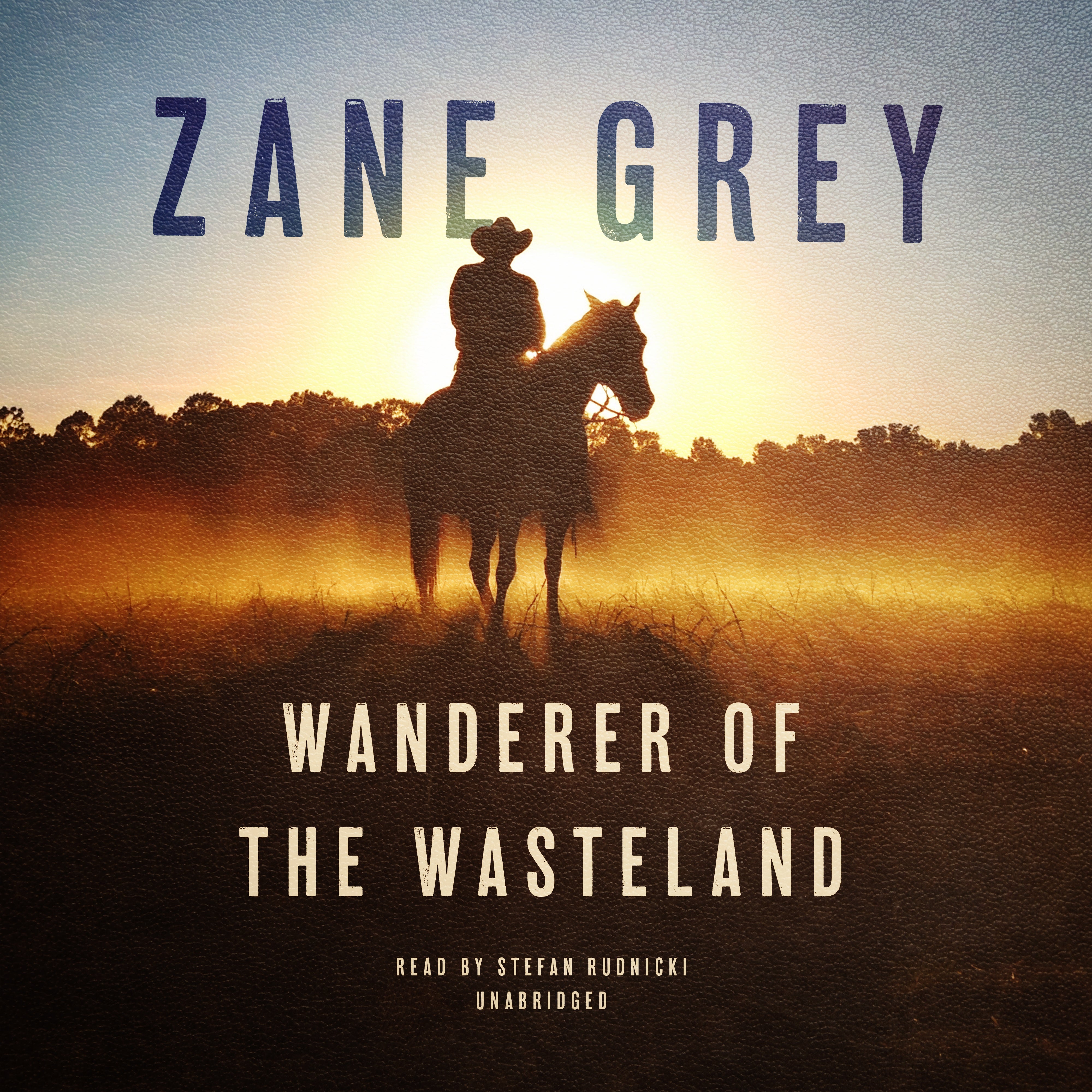 Wanderer of the Wasteland