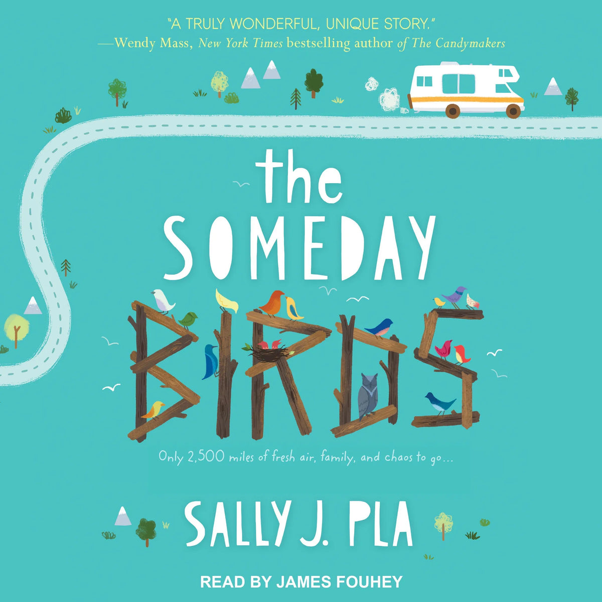 The Someday Birds