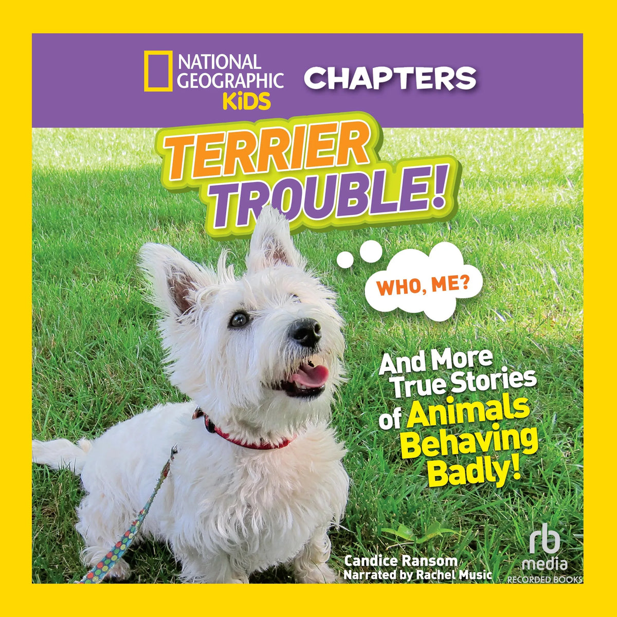 Terrier Trouble!