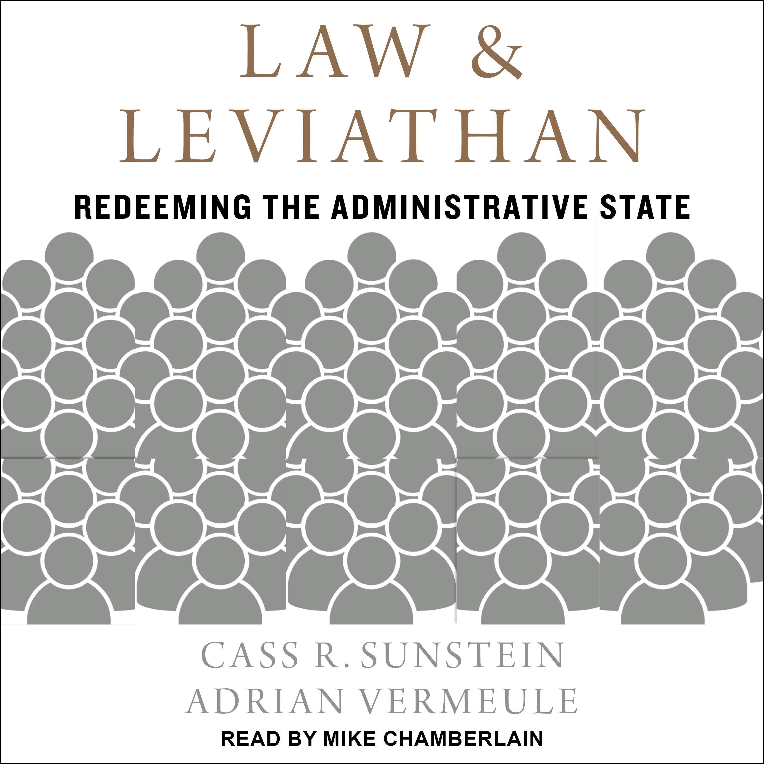 Law and Leviathan