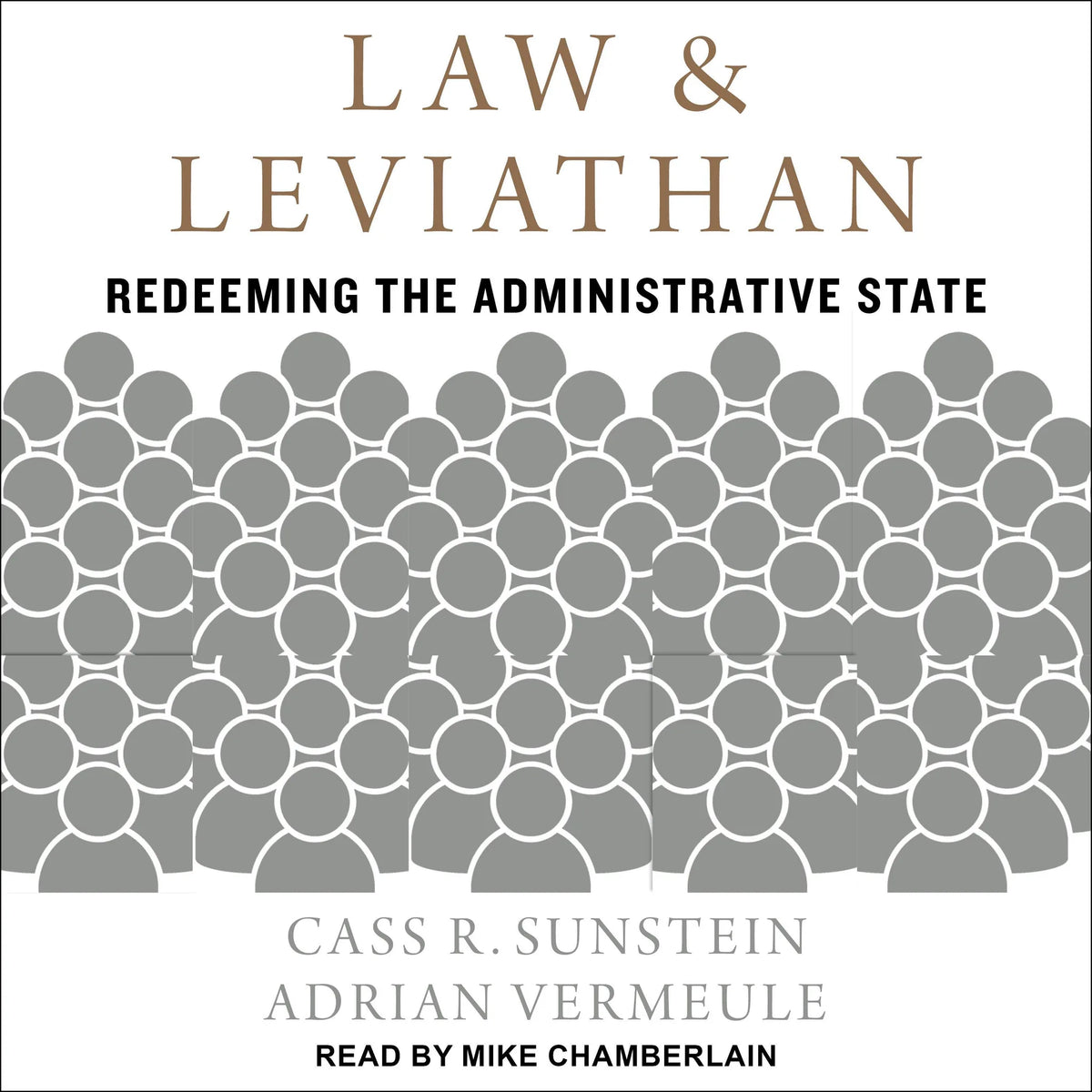 Law and Leviathan