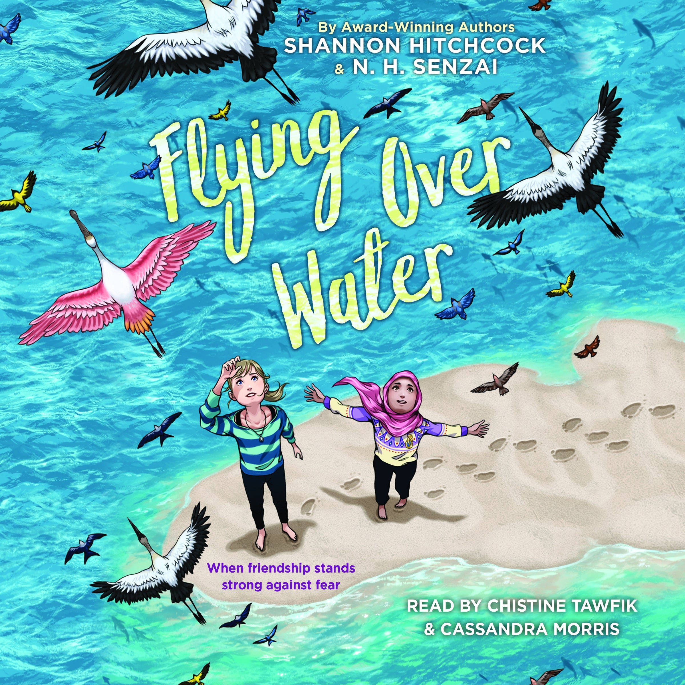 Flying Over Water