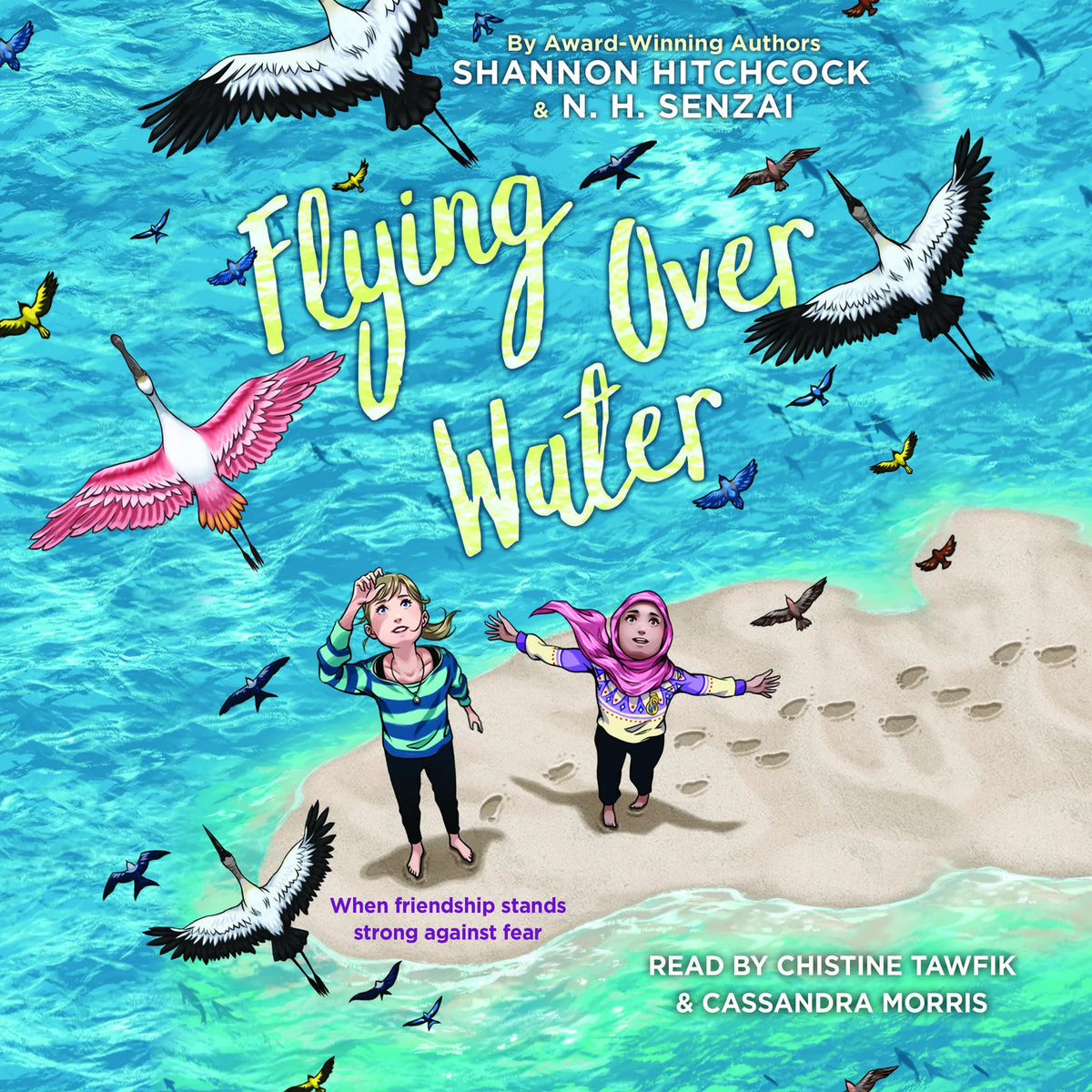 Flying Over Water