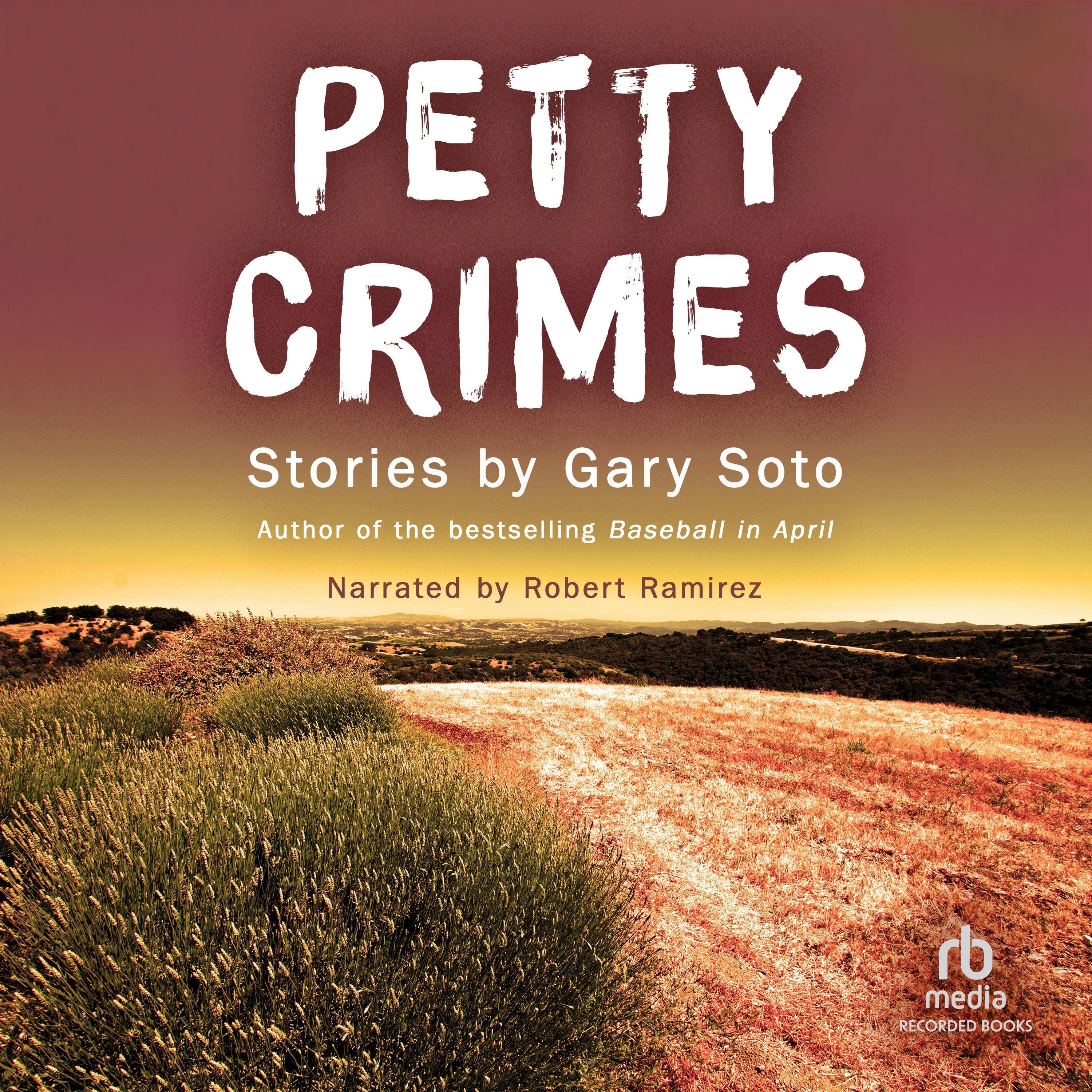 Petty Crimes