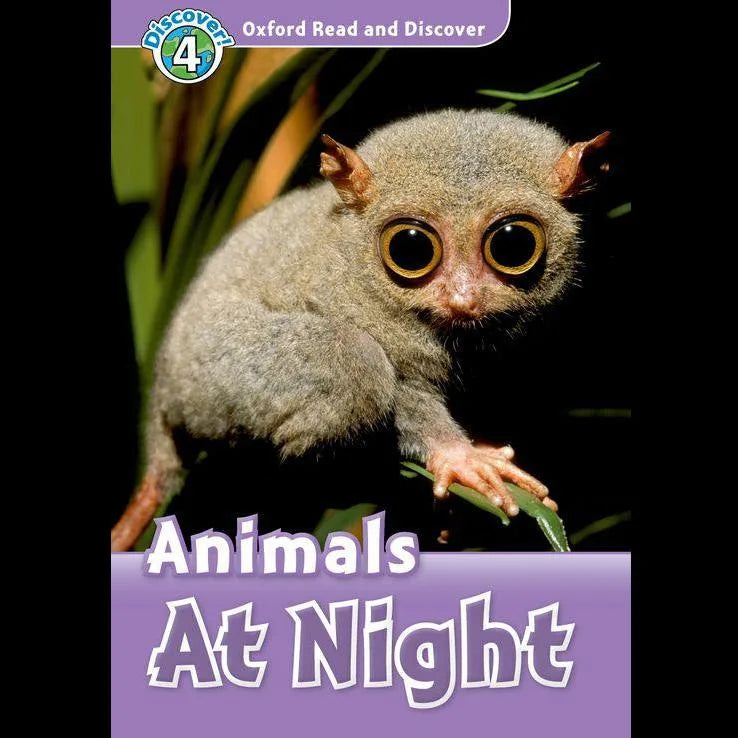 Animals at Night