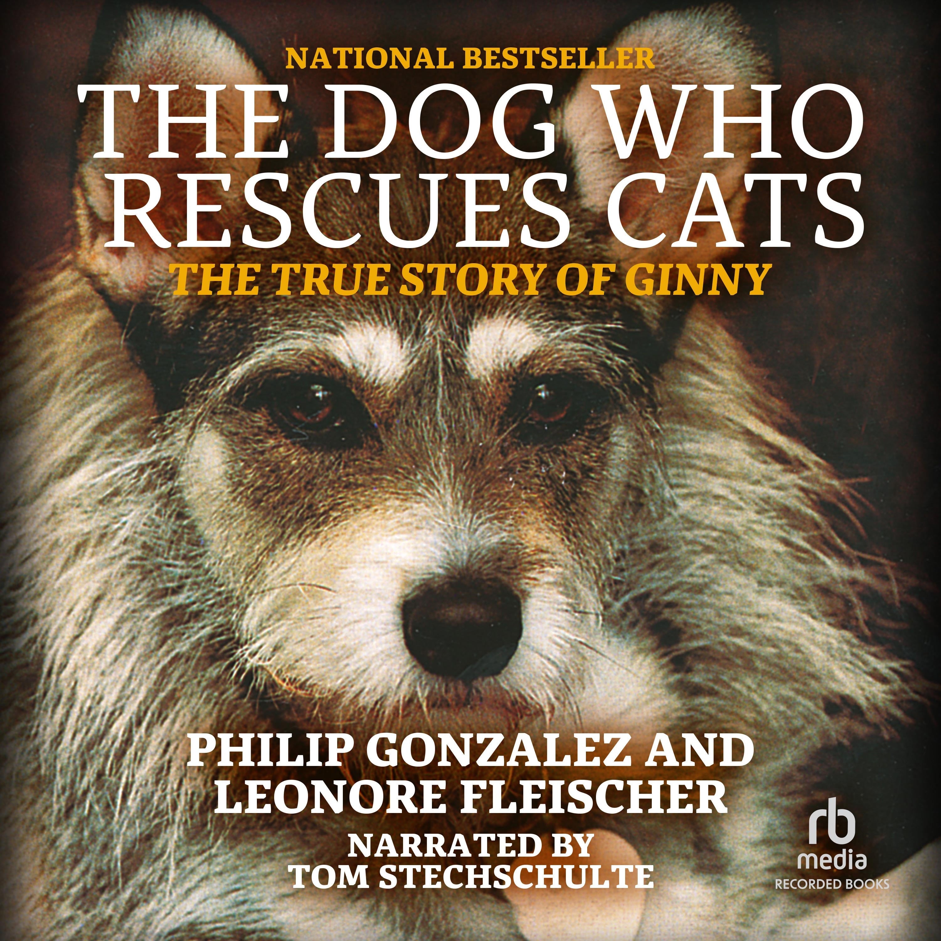 The Dog Who Rescues Cats