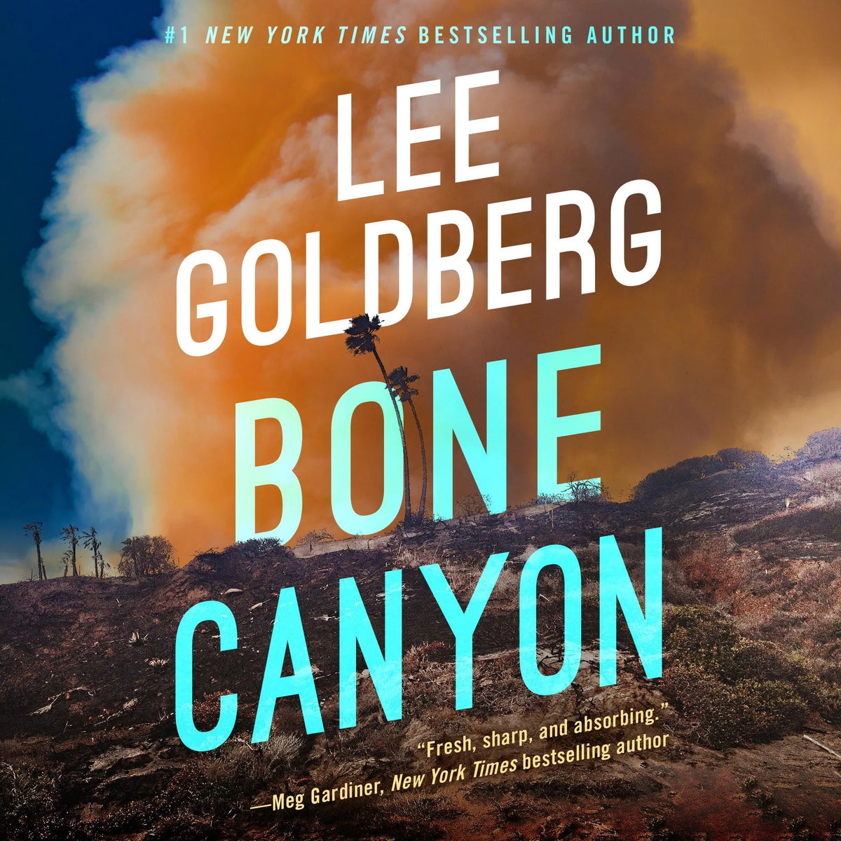 Bone Canyon