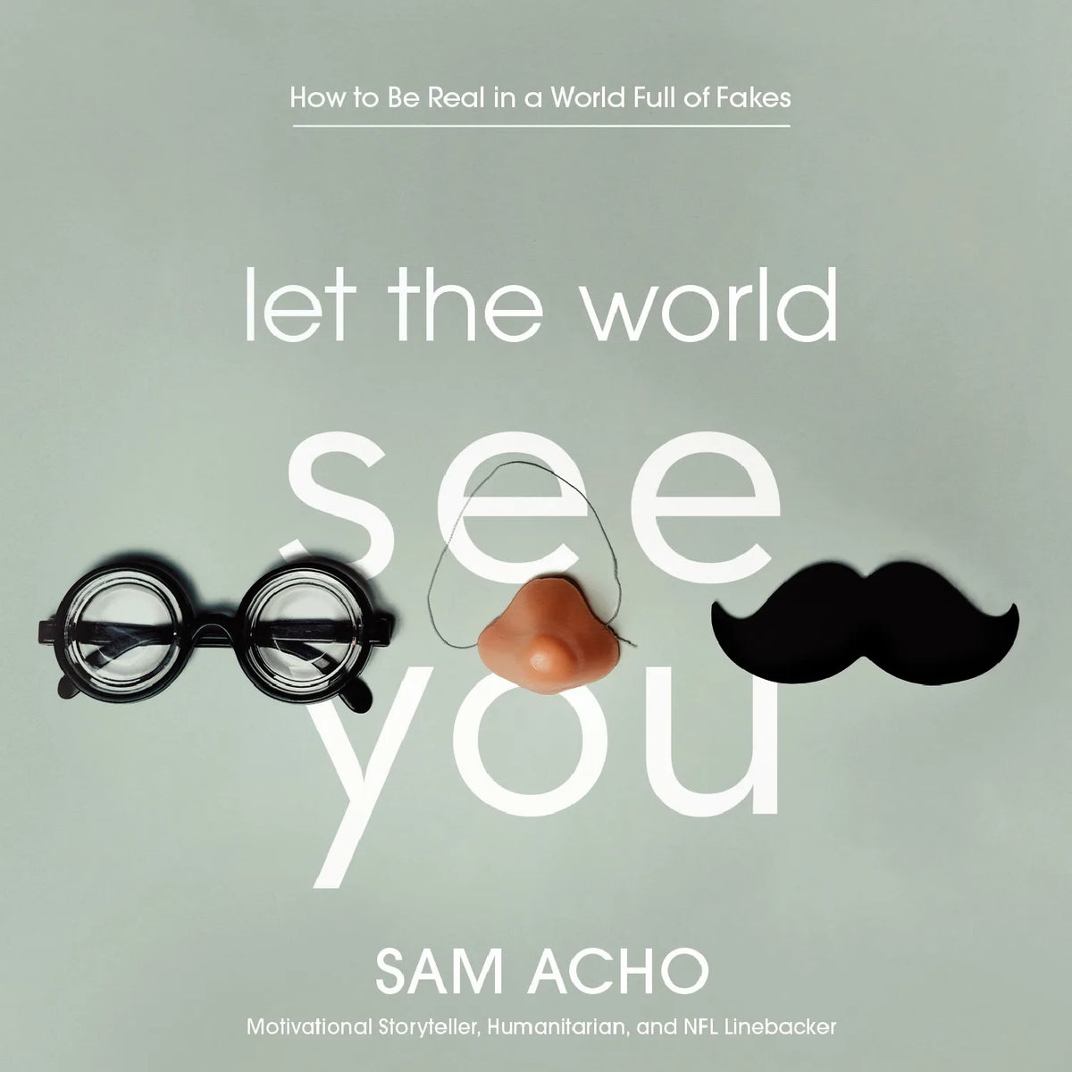 Let the World See You