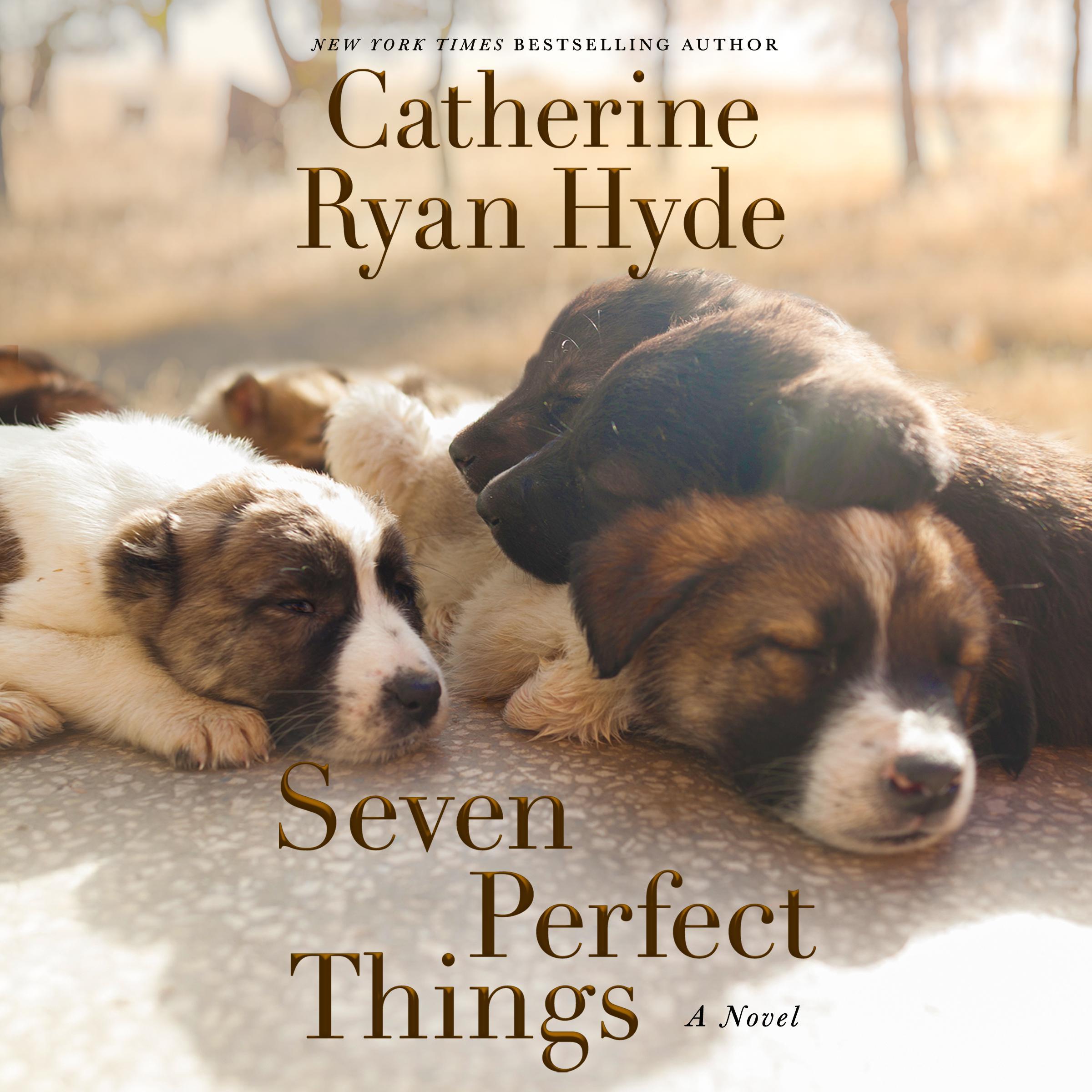 Seven Perfect Things
