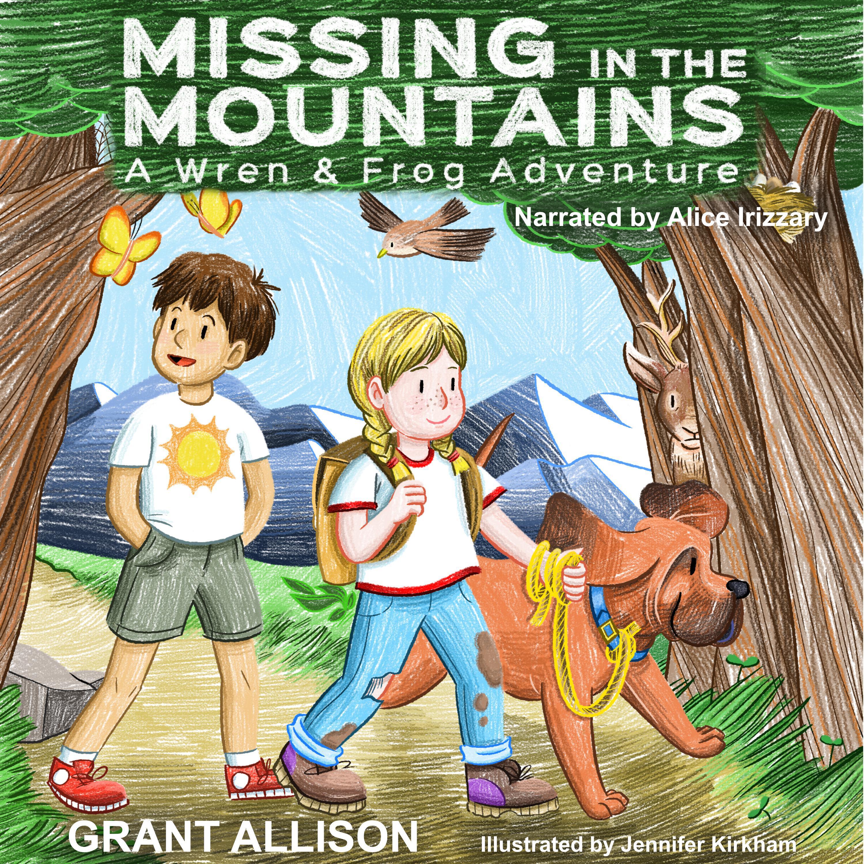 Missing in the Mountains