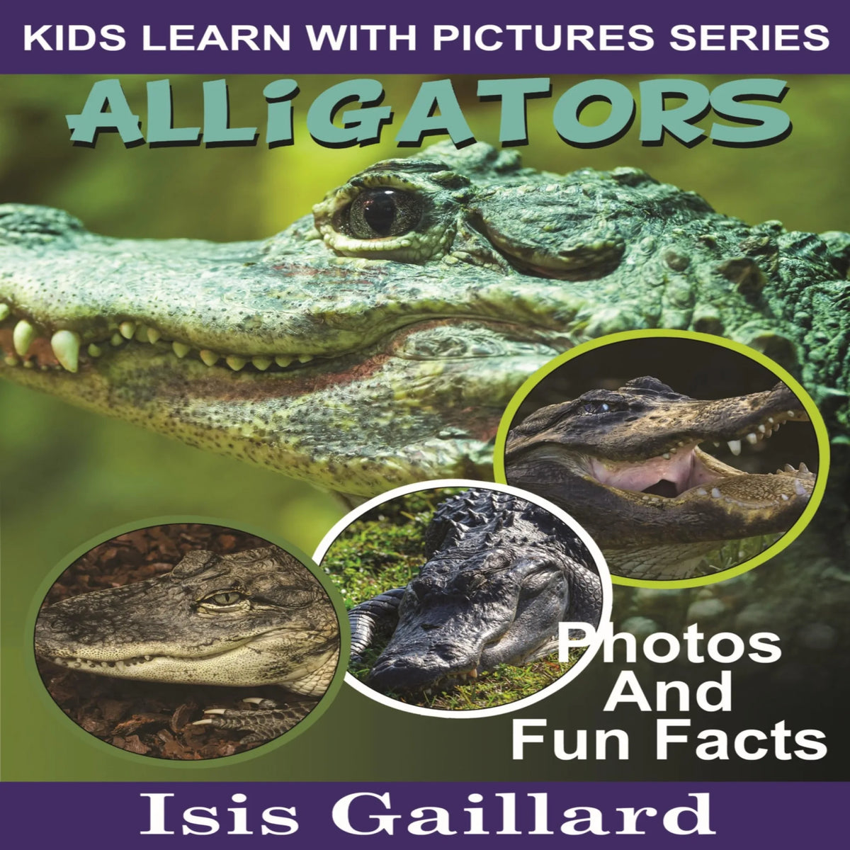 Alligators