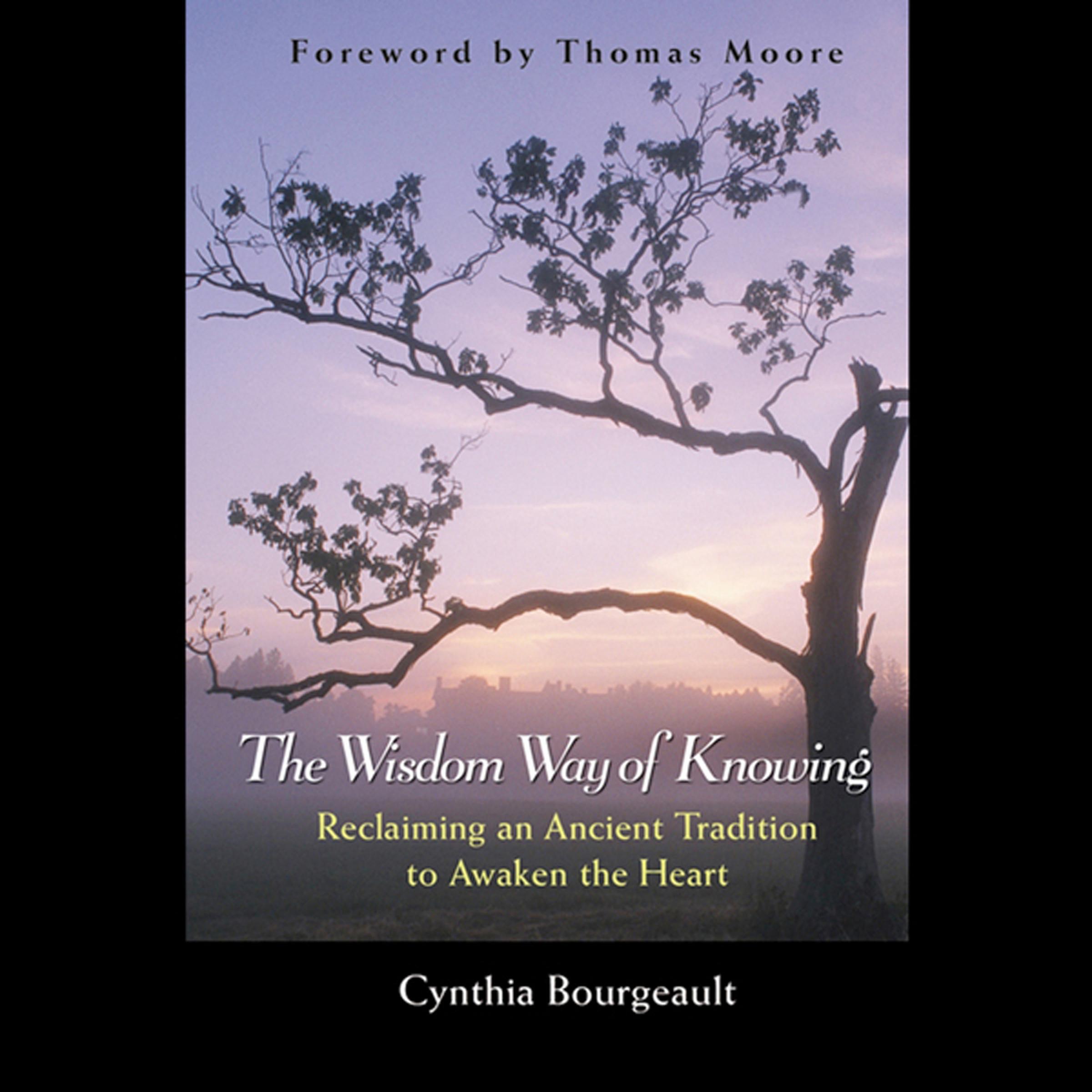 The Wisdom Way of Knowing