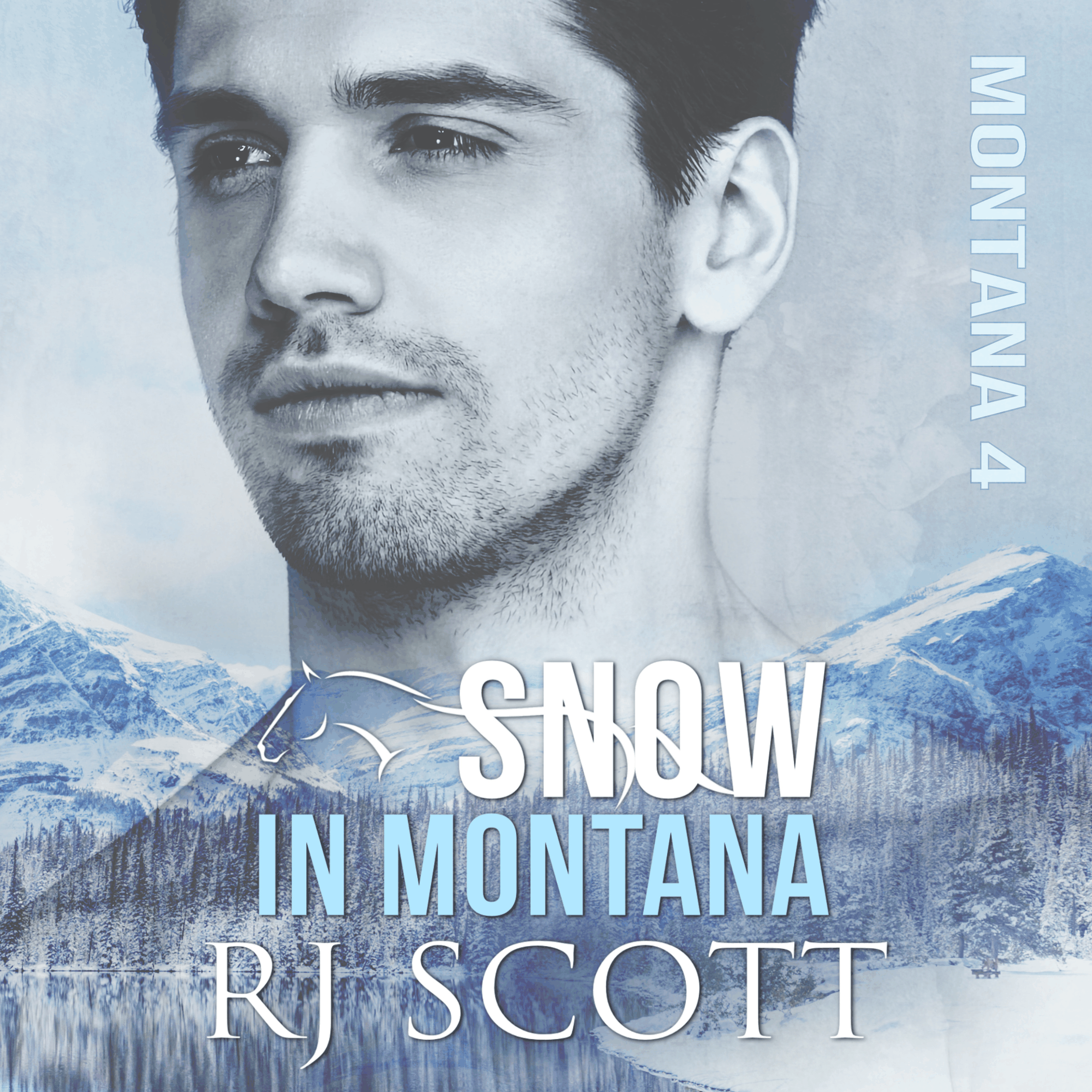 Snow in Montana