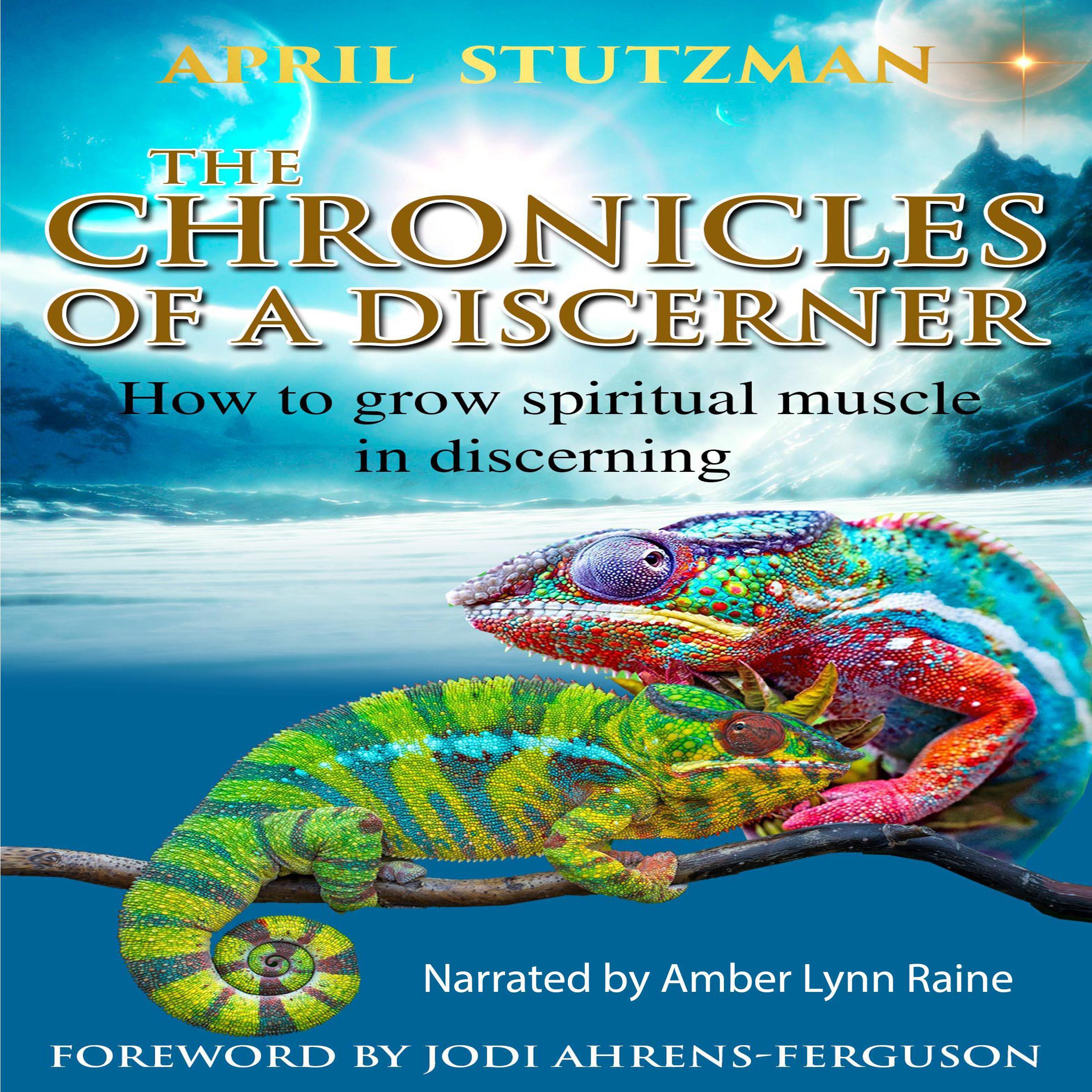 The Chronicles of a Discerner