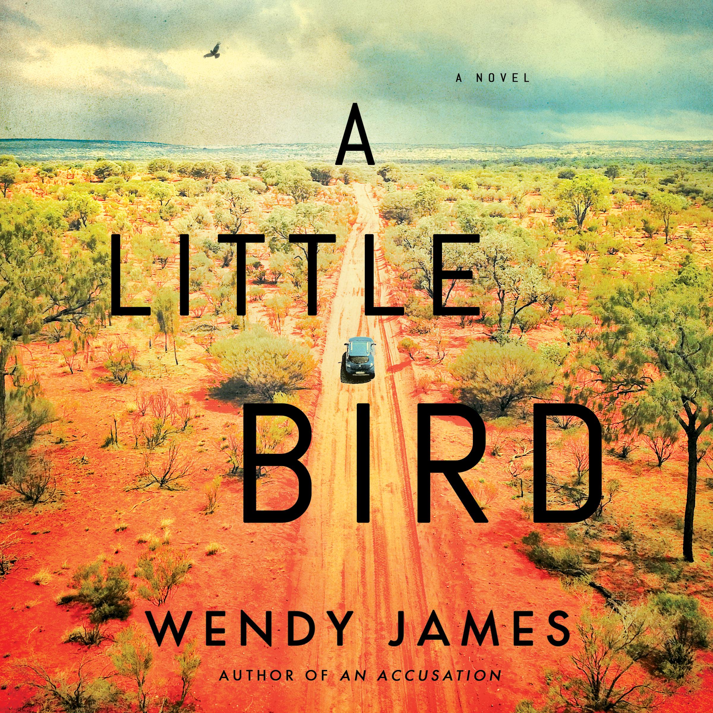 A Little Bird