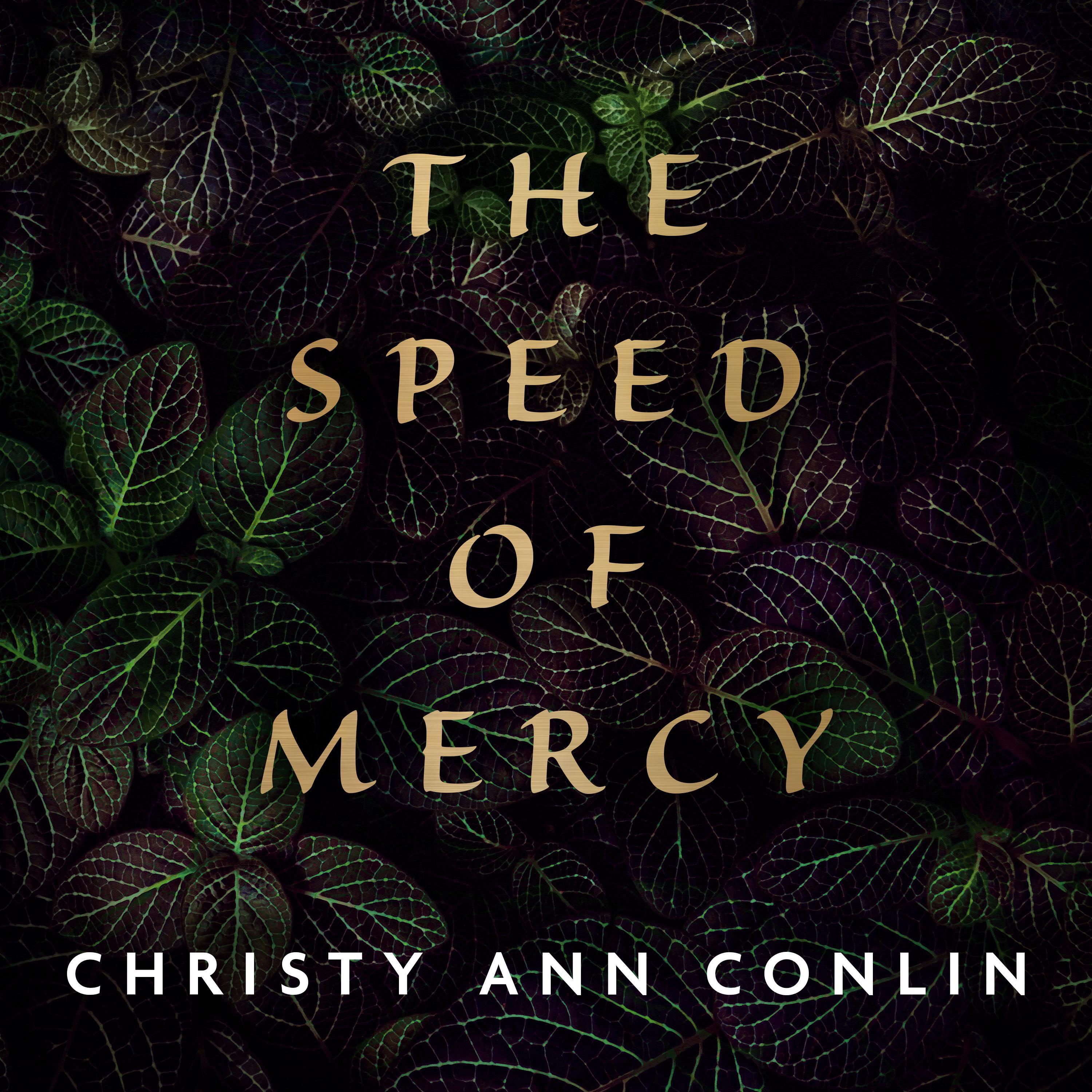 The Speed of Mercy