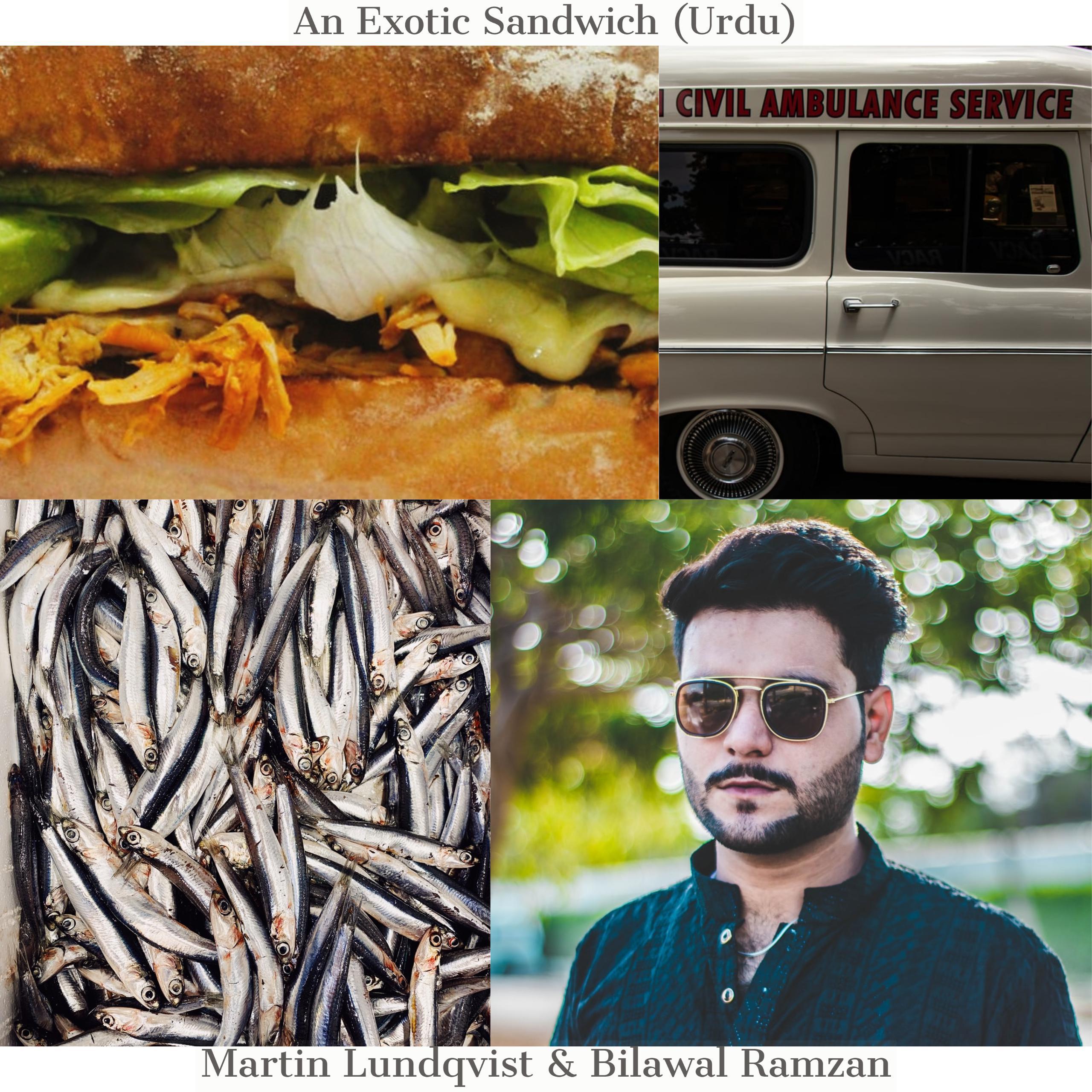 An Exotic Sandwich (Urdu)