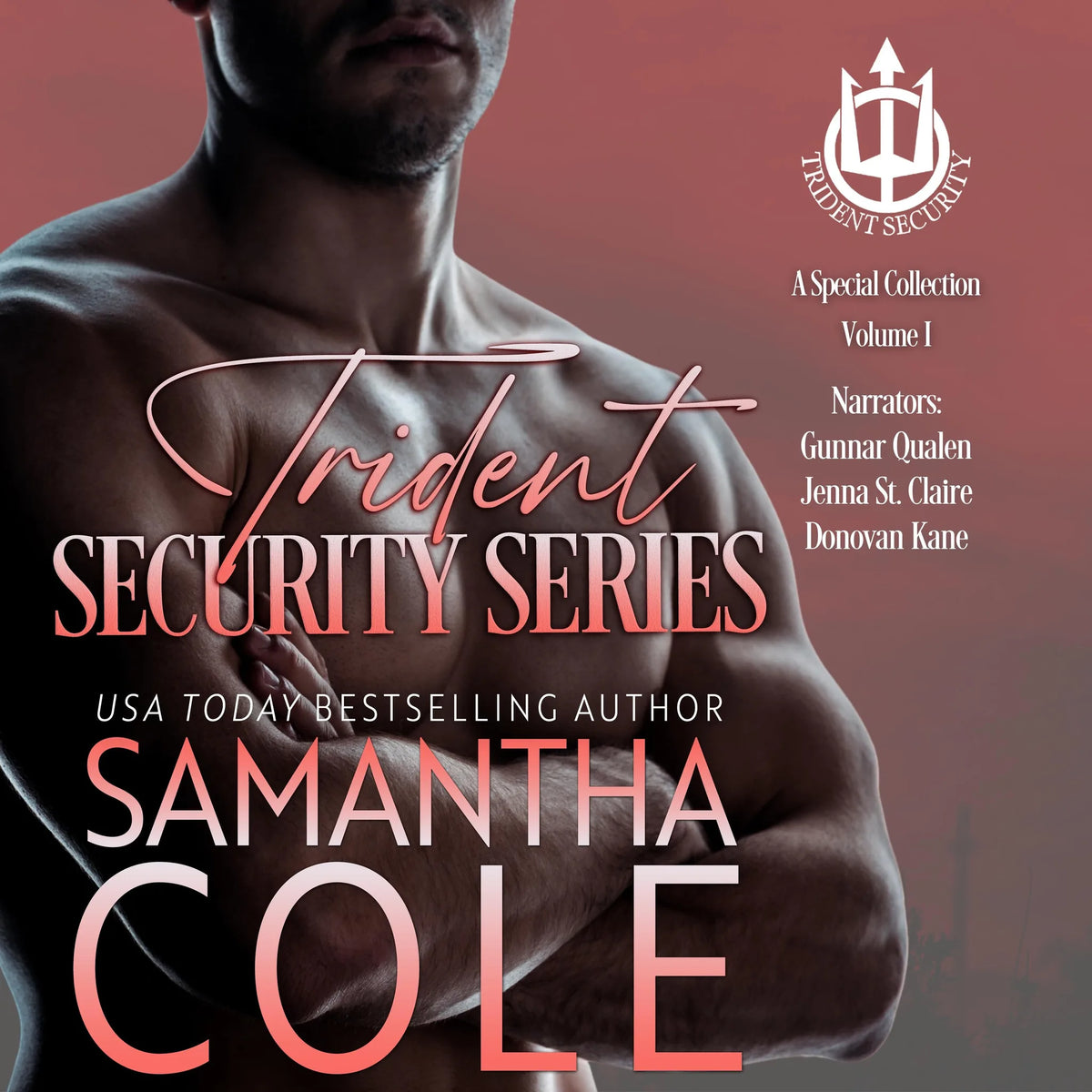 Trident Security Series: A Special Collection: Volume I