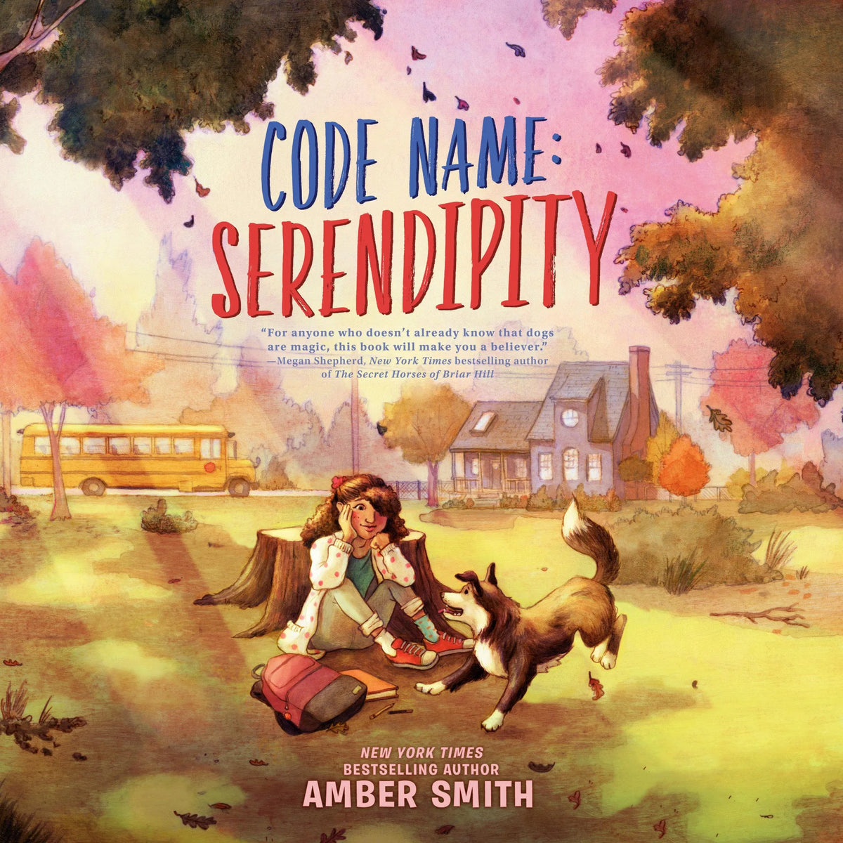 Code Name: Serendipity