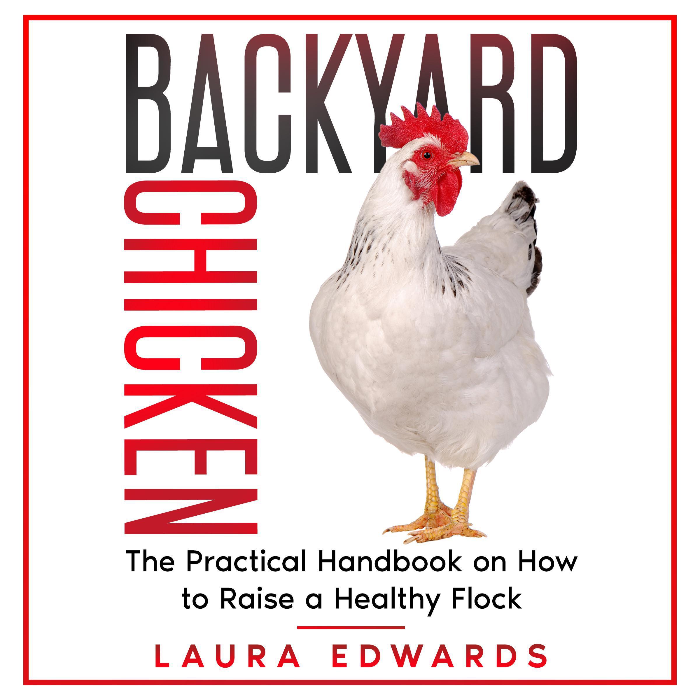 Backyard Chicken
