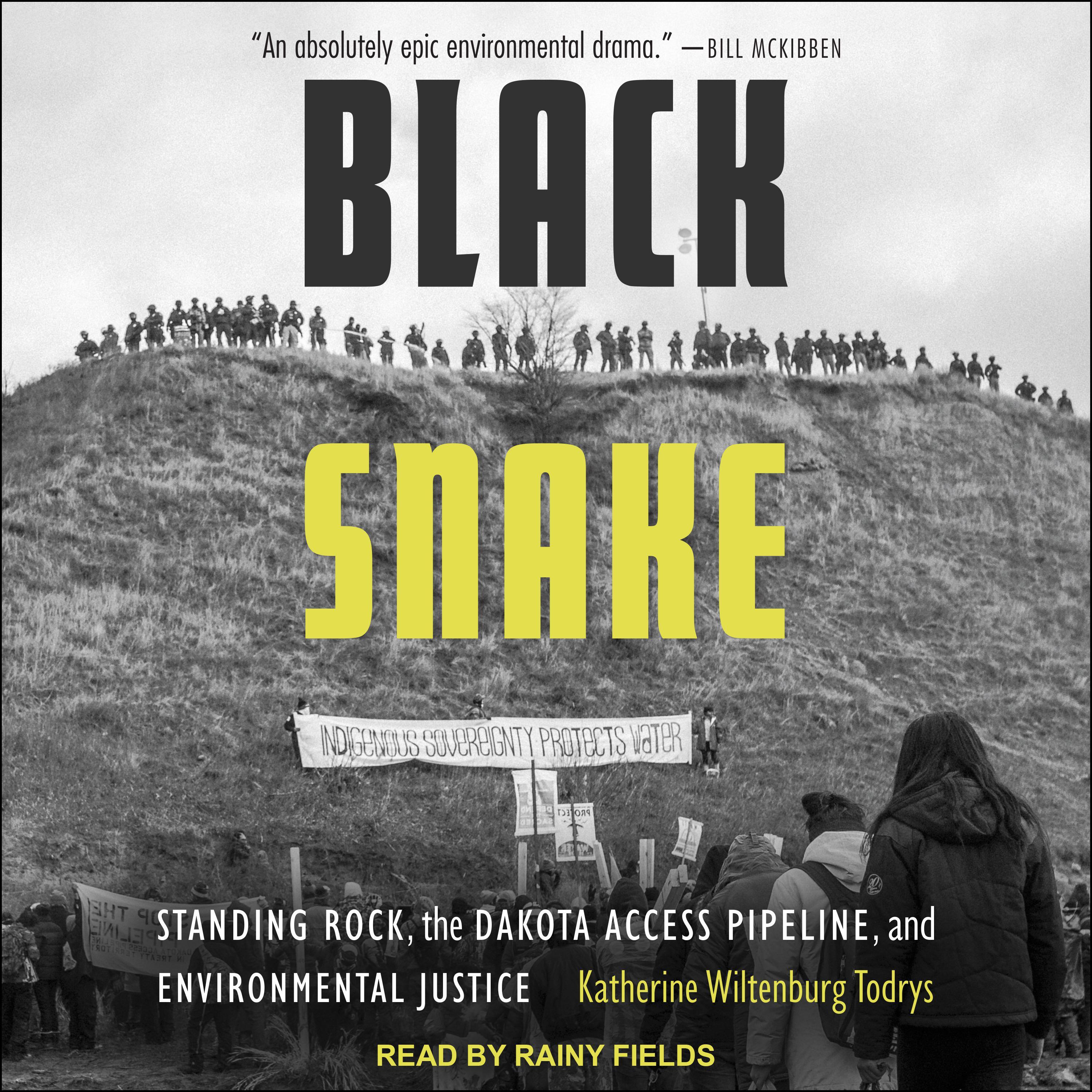 Black Snake