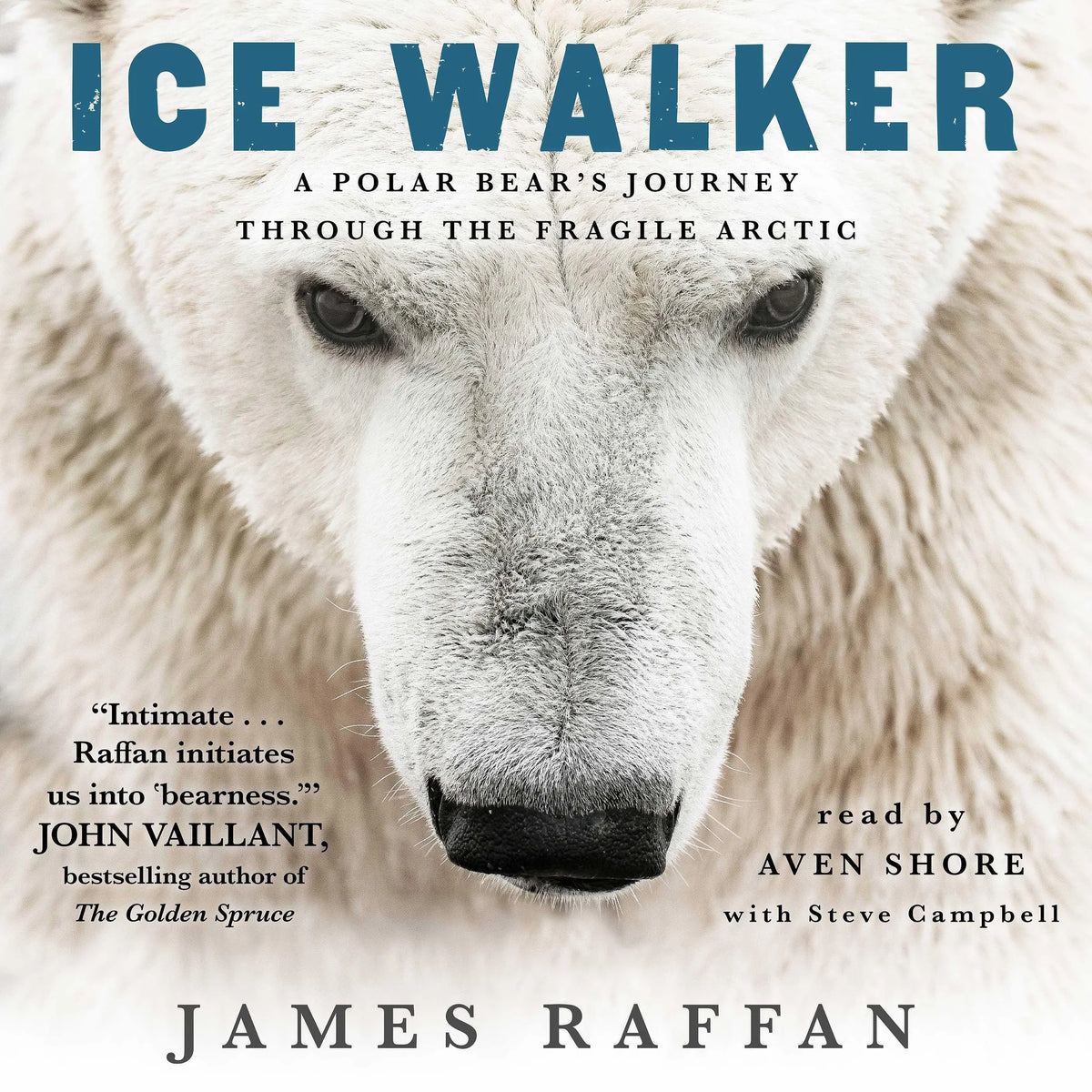 Ice Walker