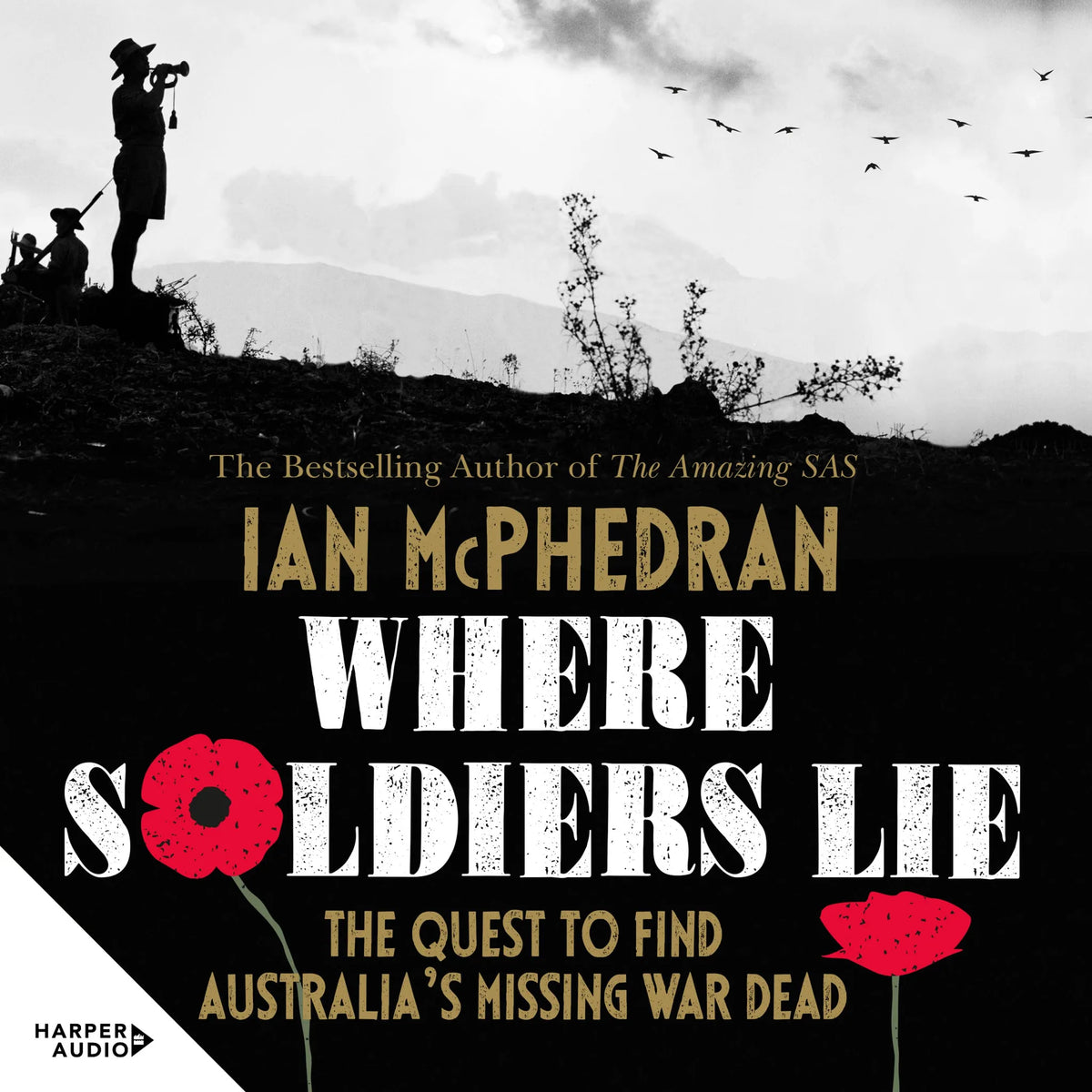 Where Soldiers Lie