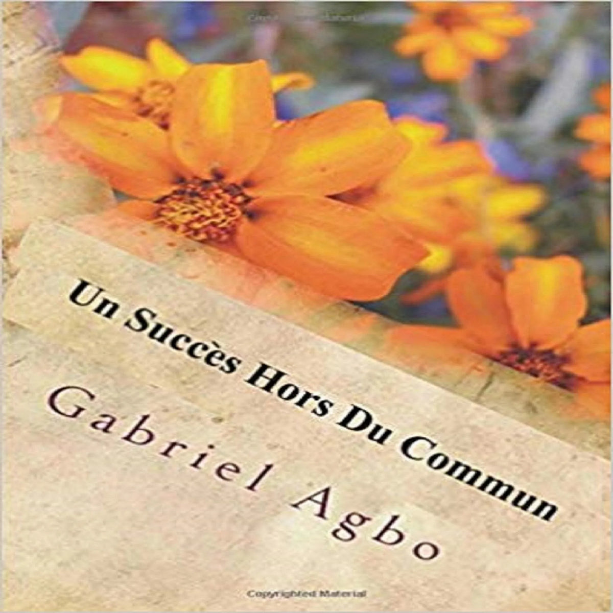 Un succès hors du commun