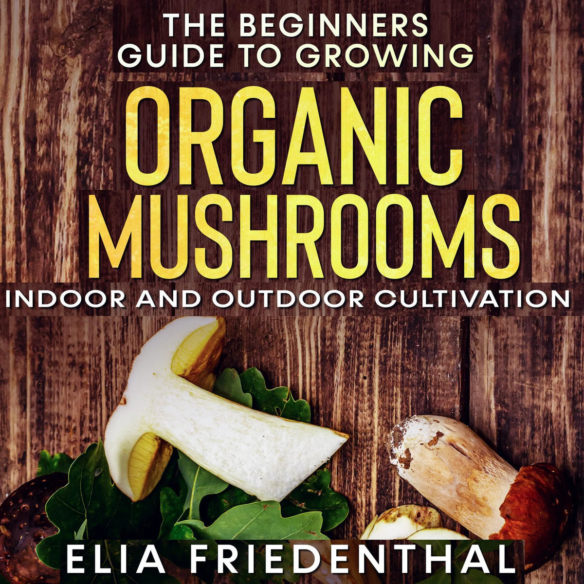 The Beginners Guide to Growing Organic Mushrooms