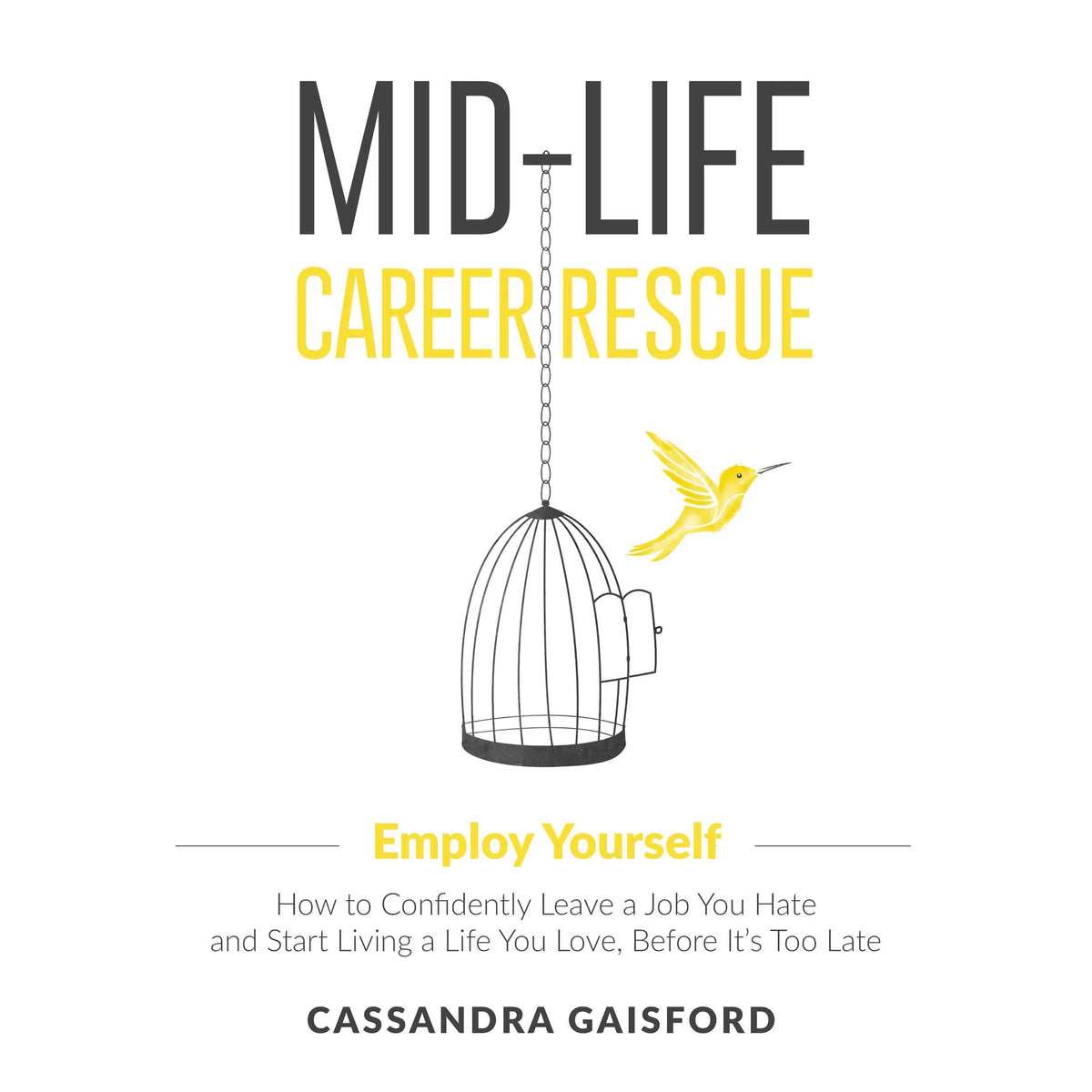 Midlife Career Rescue: Employ Yourself