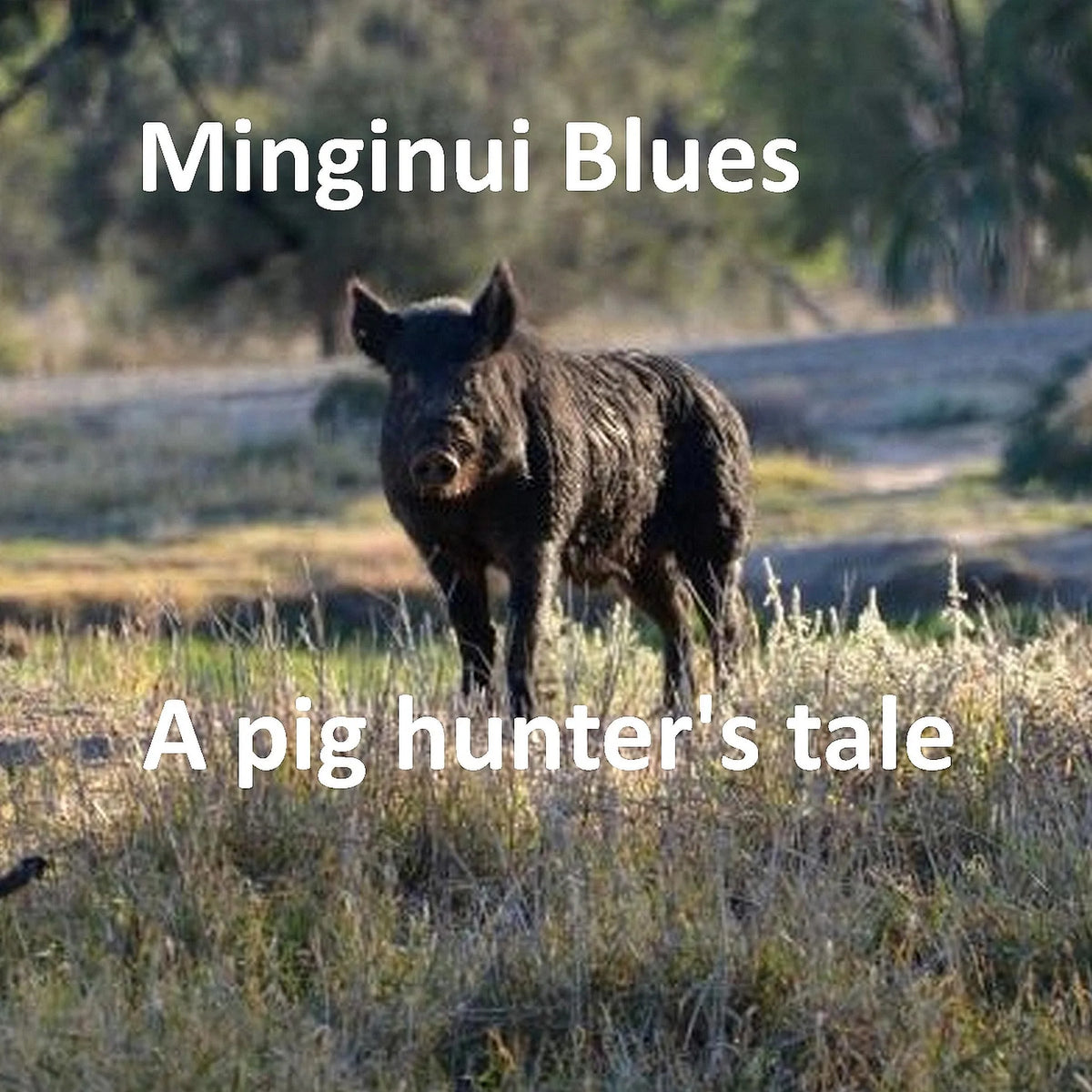 Minginui Blues
