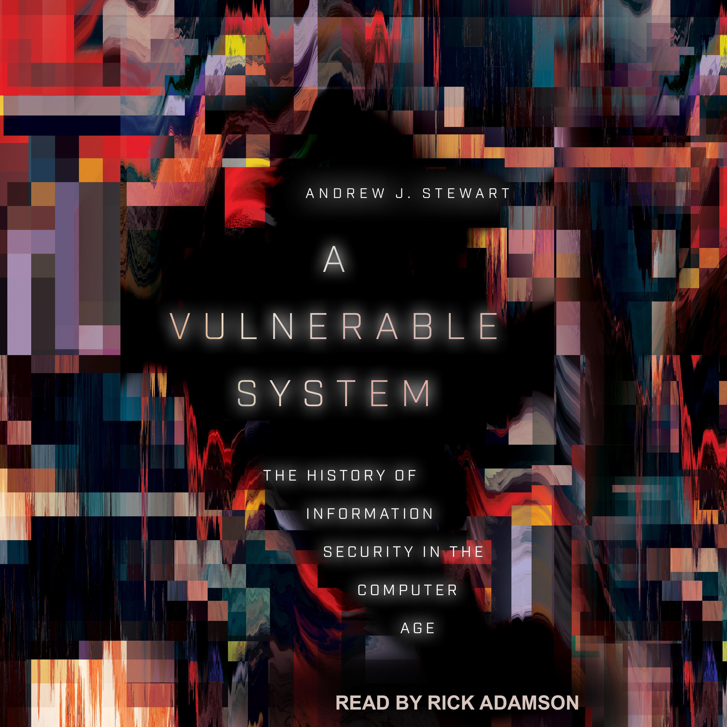 A Vulnerable System