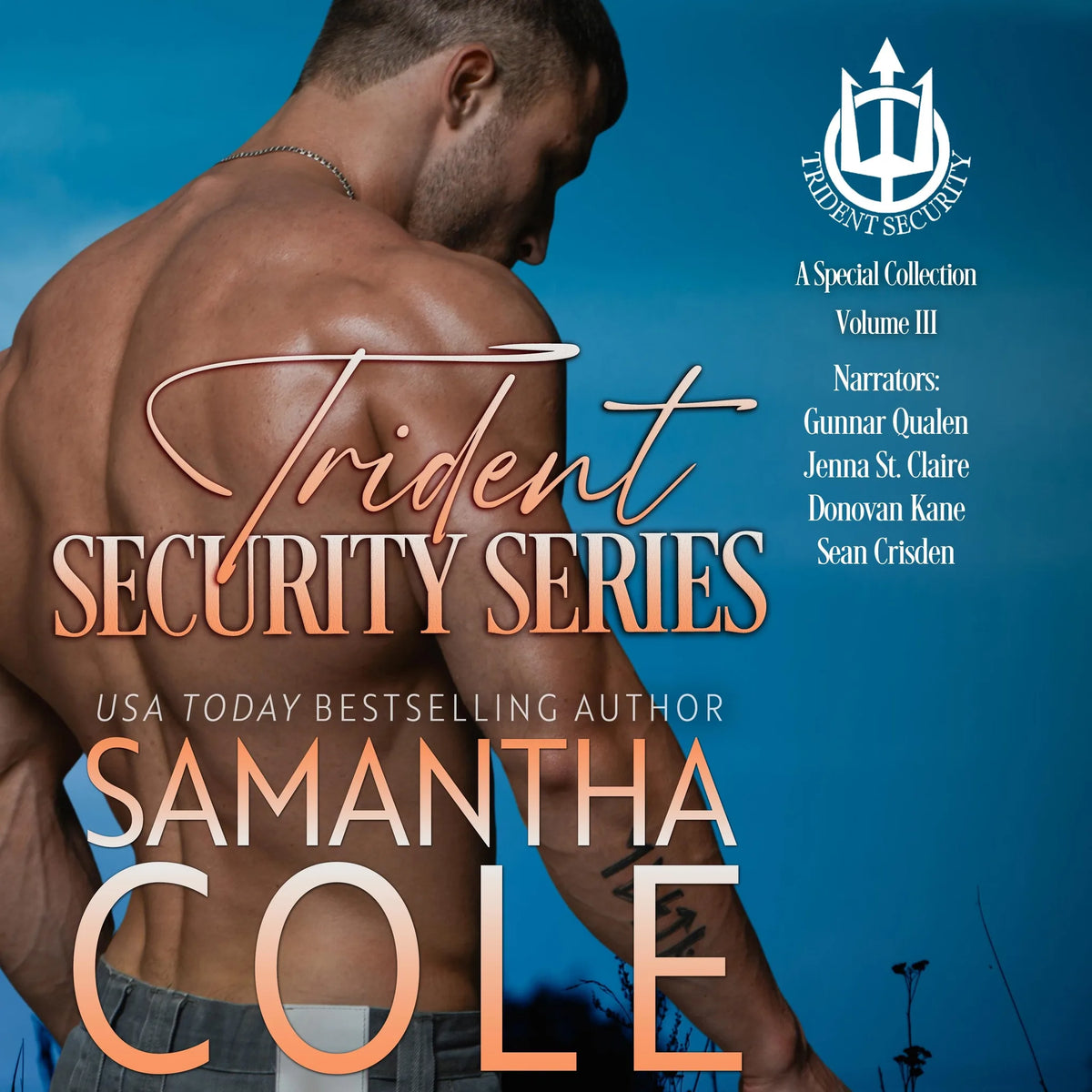 Trident Security Series: A Special Collection: Volume III