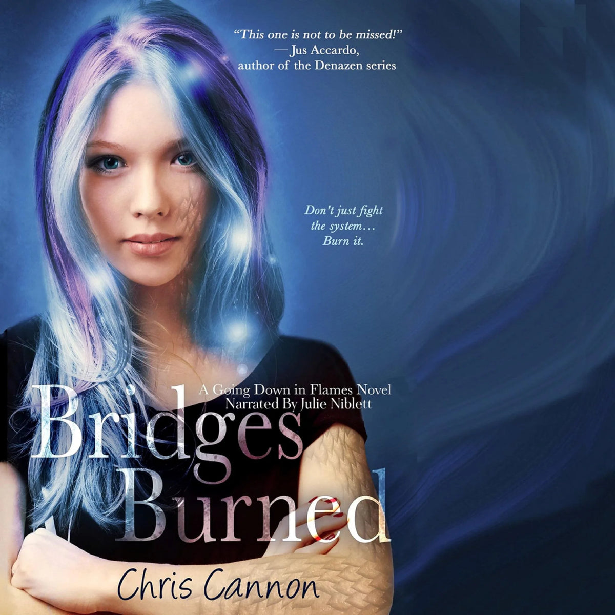 Bridges Burned